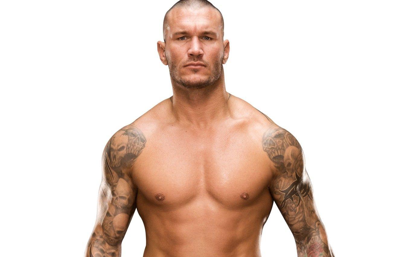 Wallpaper tattoo, snakes, tattoo, muscle, wrestler, WWE, Randy Orton