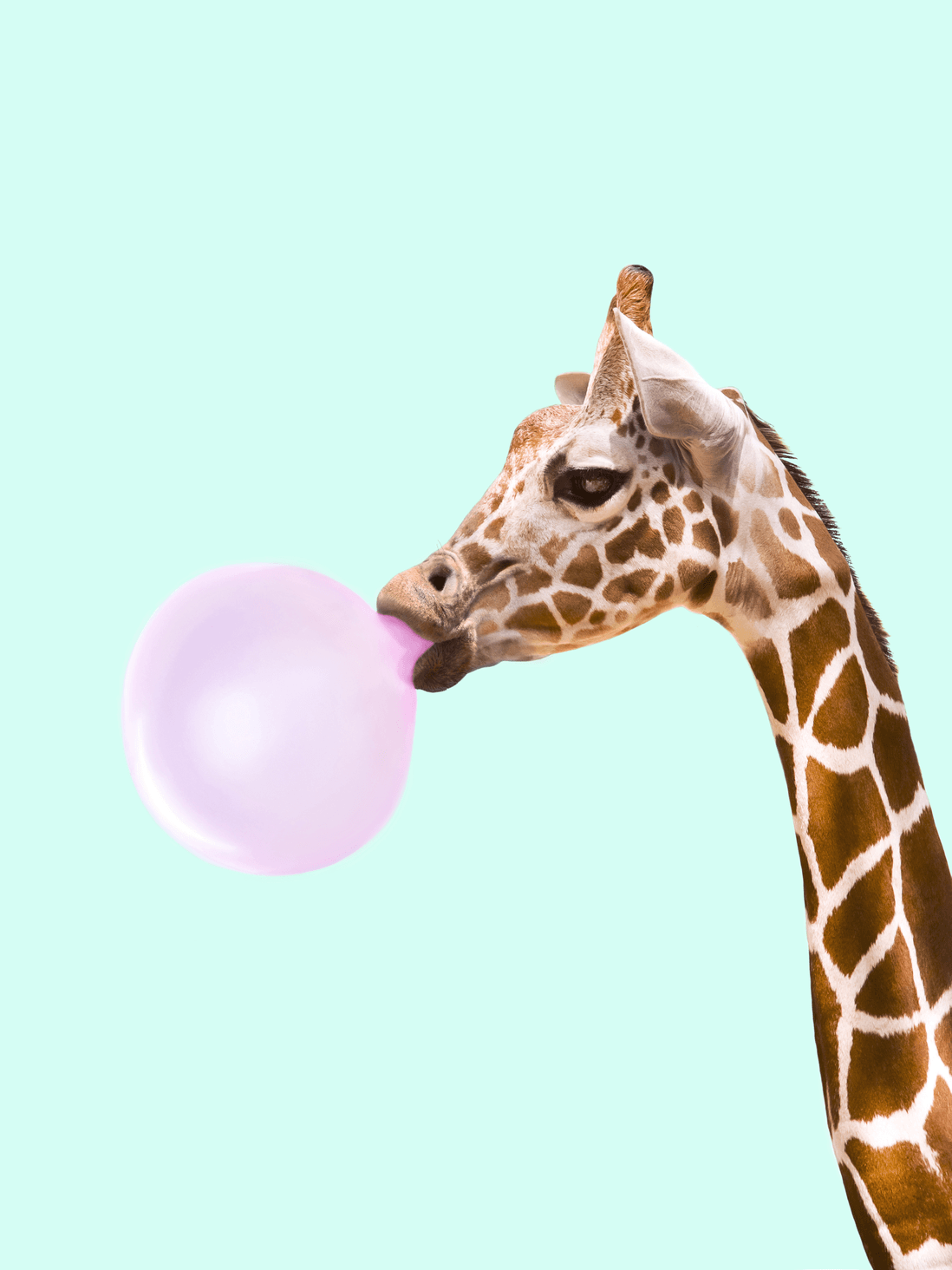Bubblegum giraffe. Happy Mail. Art, Giraffe and Wallpaper
