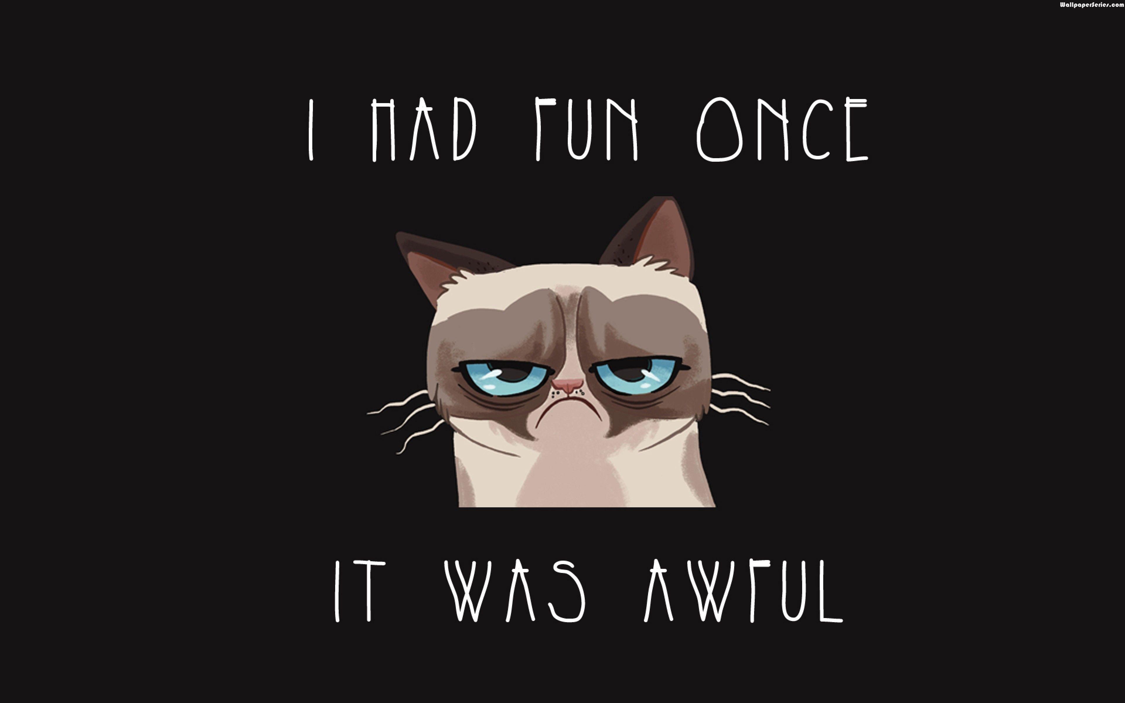 Grumpy Cat Meme Quotes Wallpaper 05772
