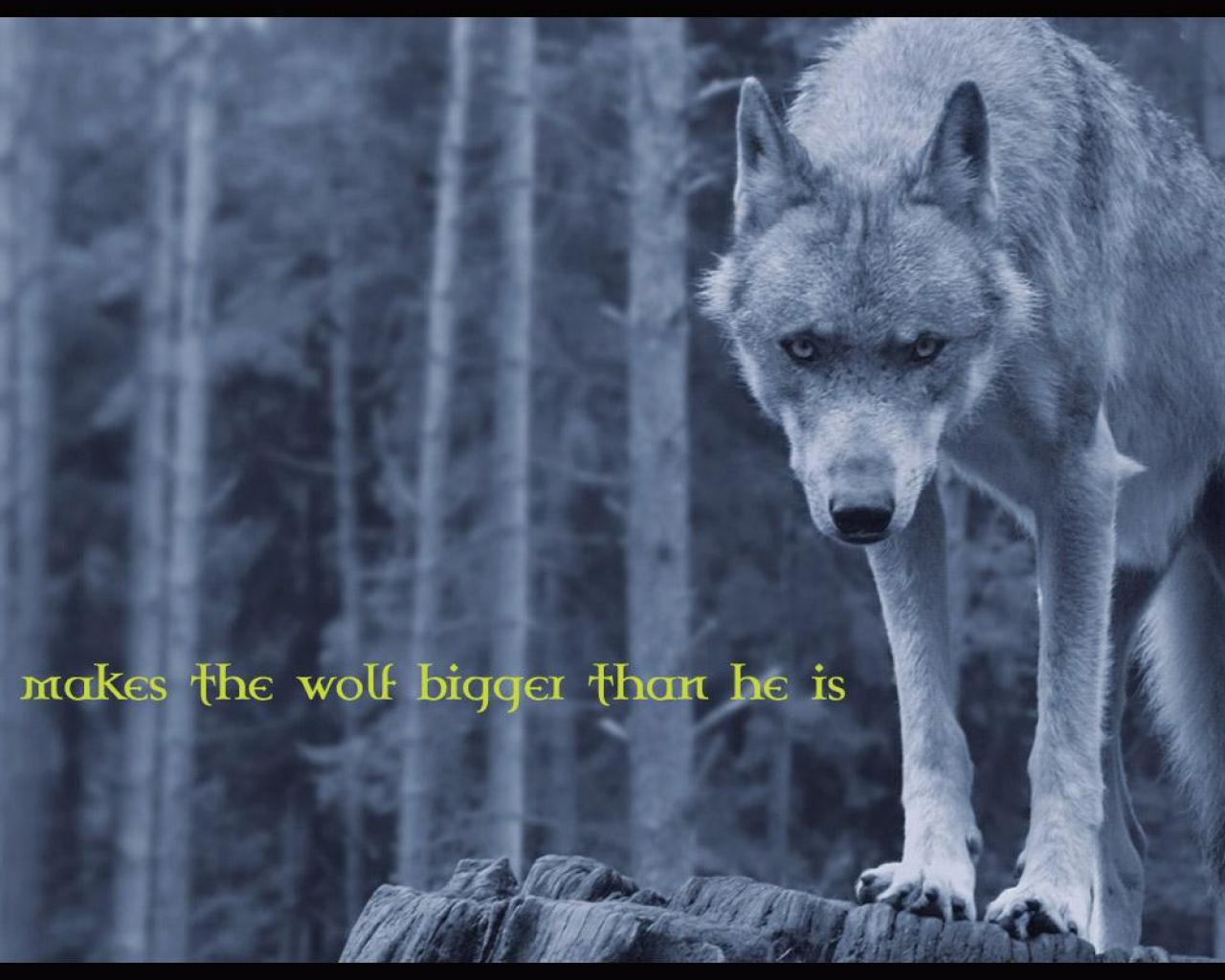 Lone Wolf Wallpaper Quotes. 
