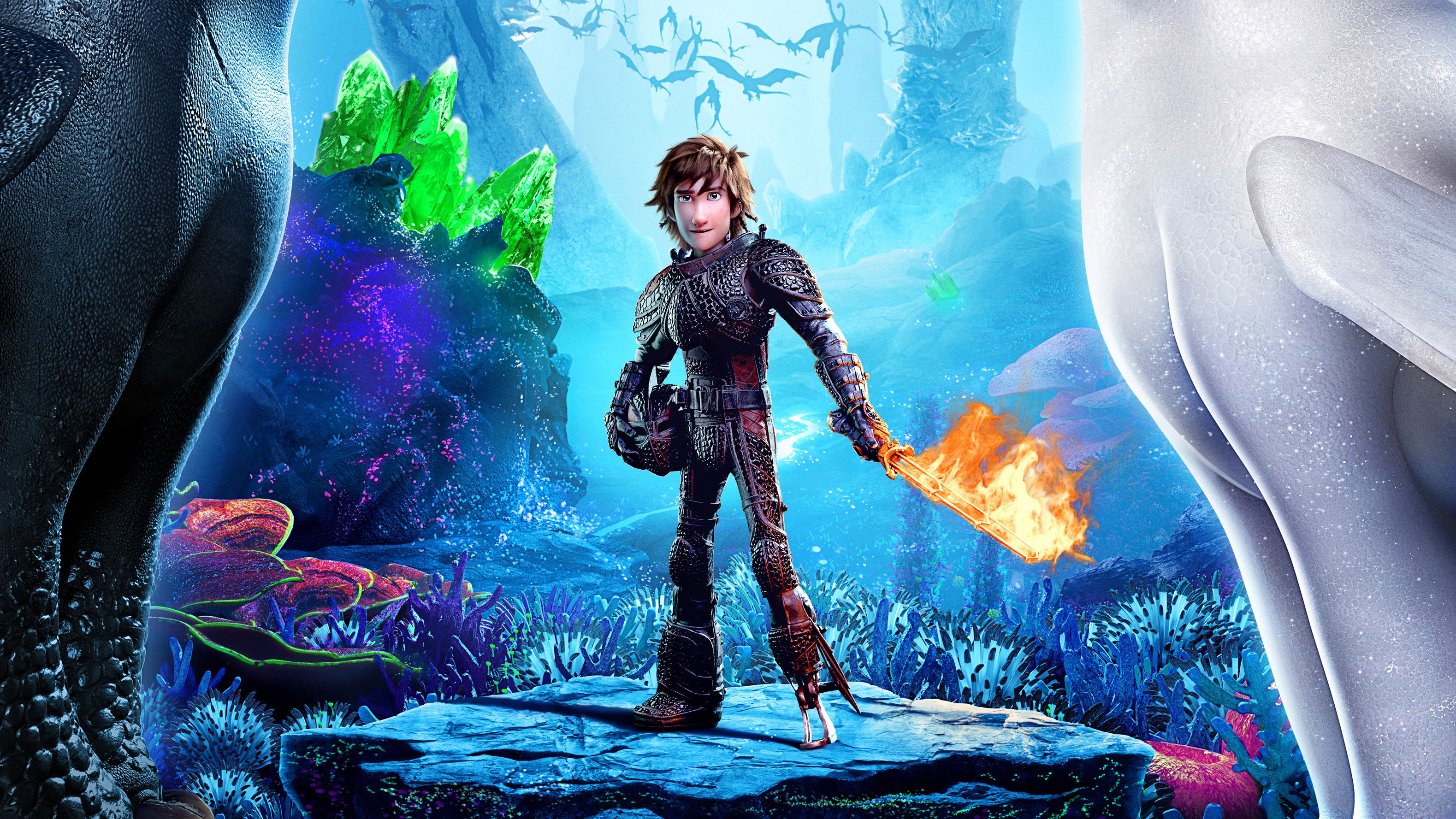 Hiccup Riding Toothless Wallpaper for iPhone 12 Pro
