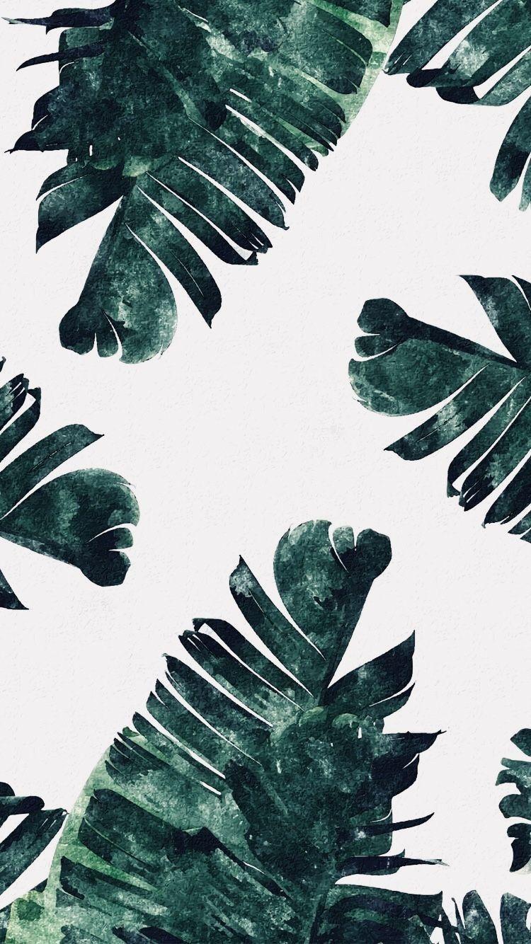 Aesthetic Palm Wallpaper Elegant Green Aesthetic Tumblr Google