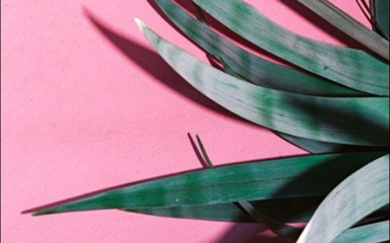 aesthetic, flower, green, pink, wallpaper image