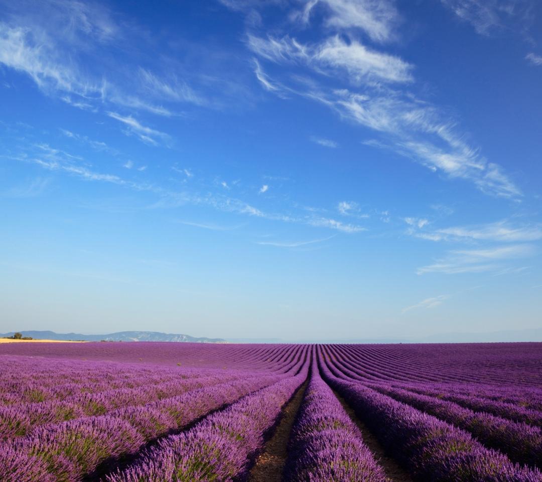 Wallpaper Of Oppo , Find HD Wallpaper For Free