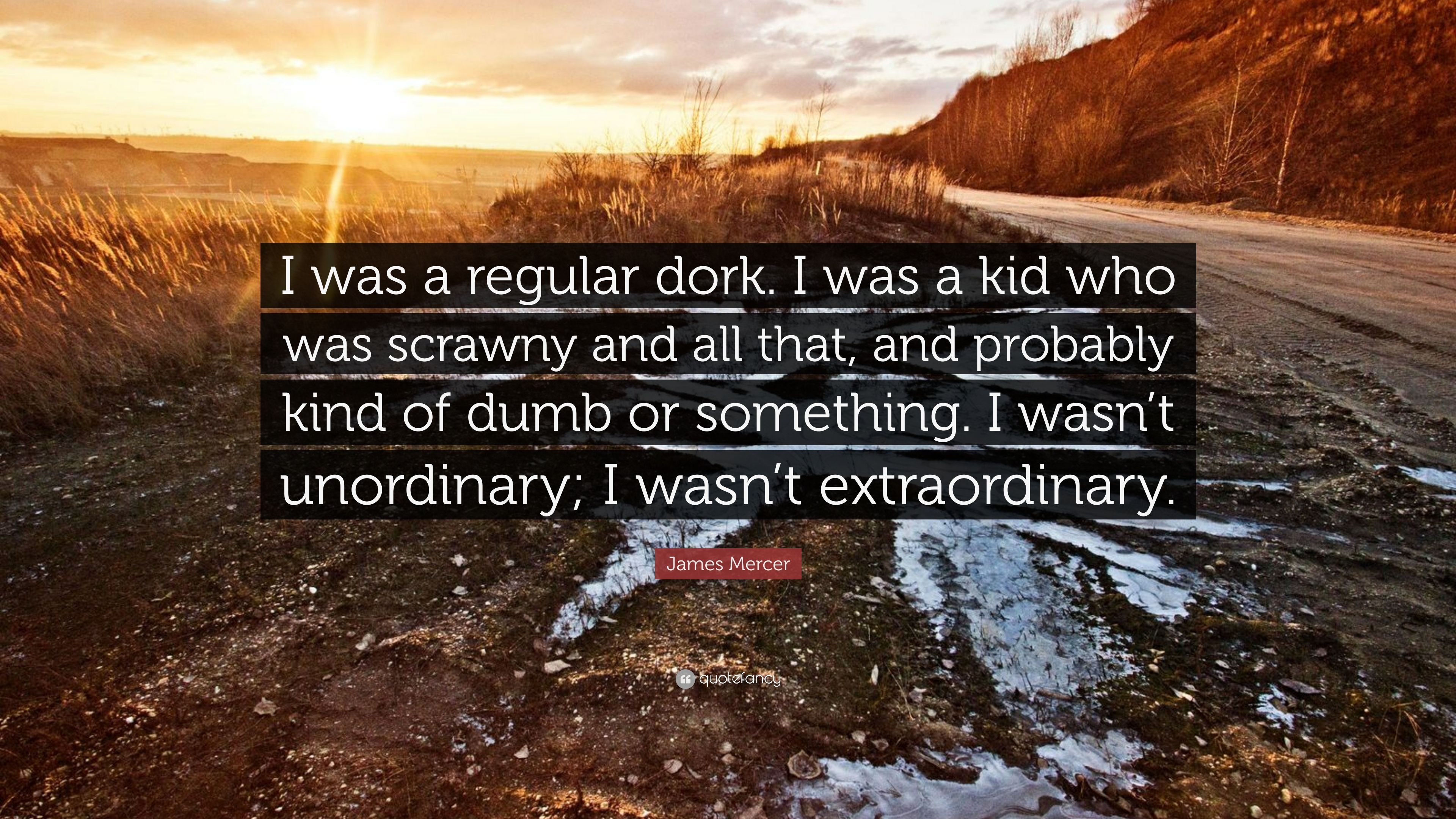 James Mercer Quote: “I was a regular dork. I was a kid who was