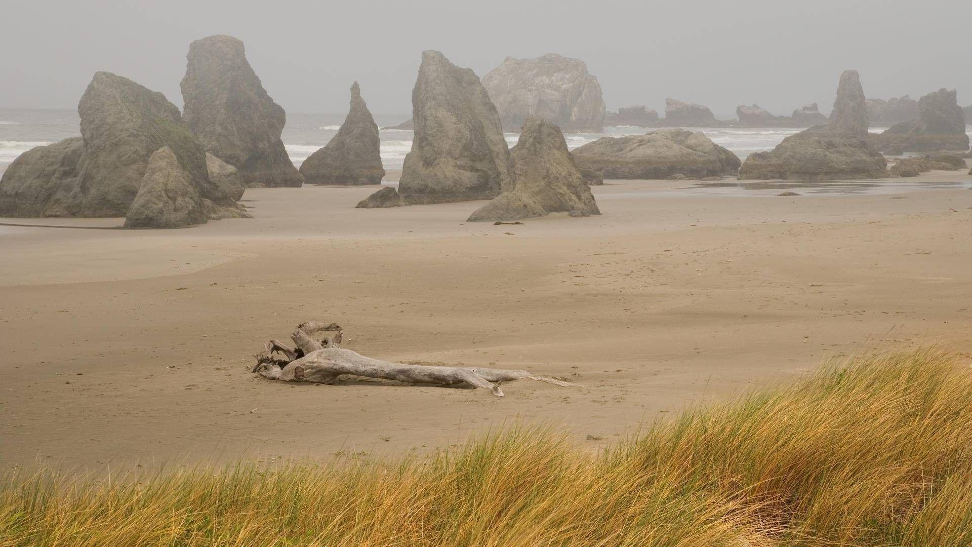 Beaches: Foggy Day Bandon Oregon Coast Grass Rocks Fog Wallpaper