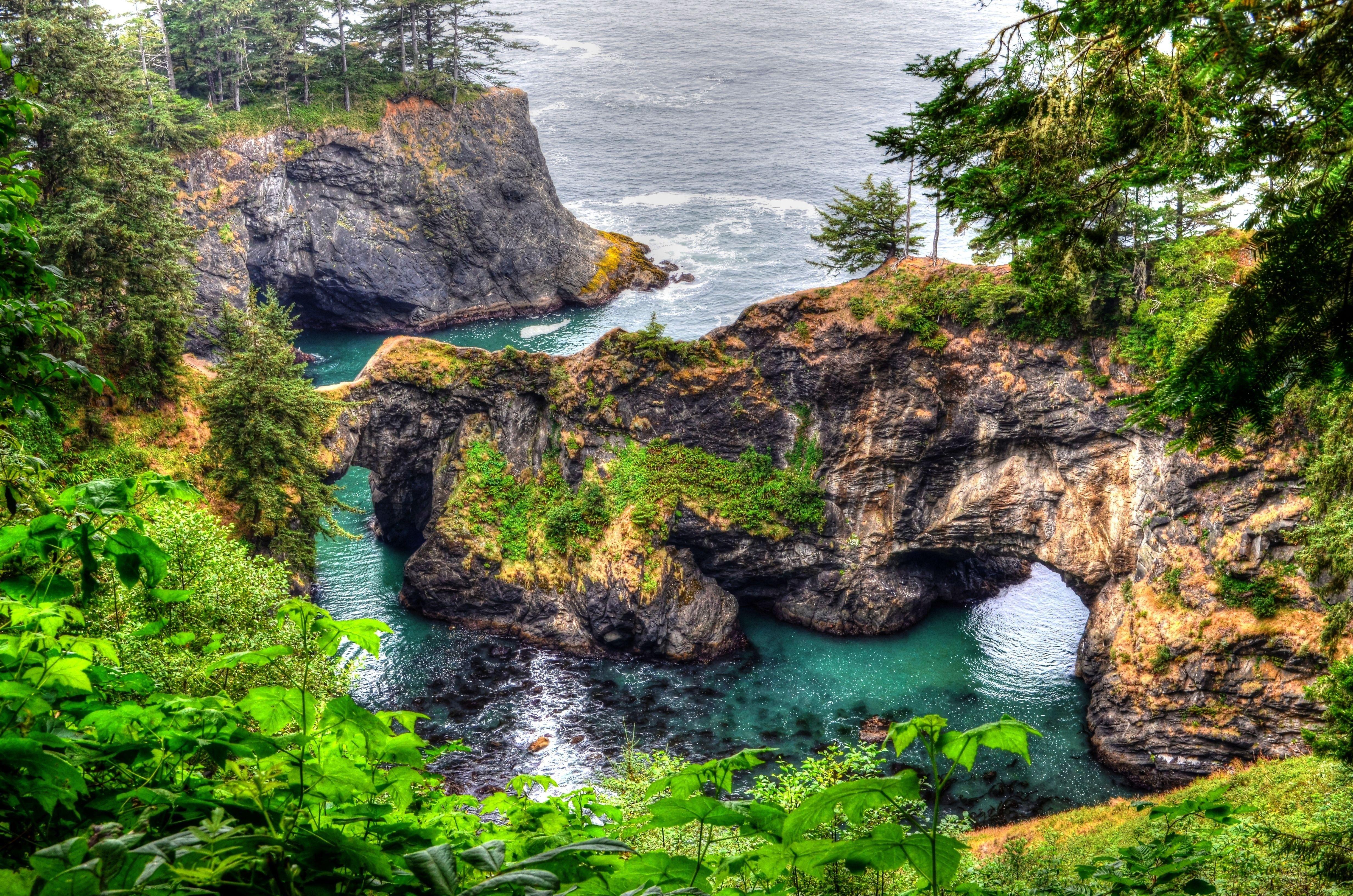 Other: Natural Bridge Oregon Coast Water Sea Arch Rocks Trees 1080p