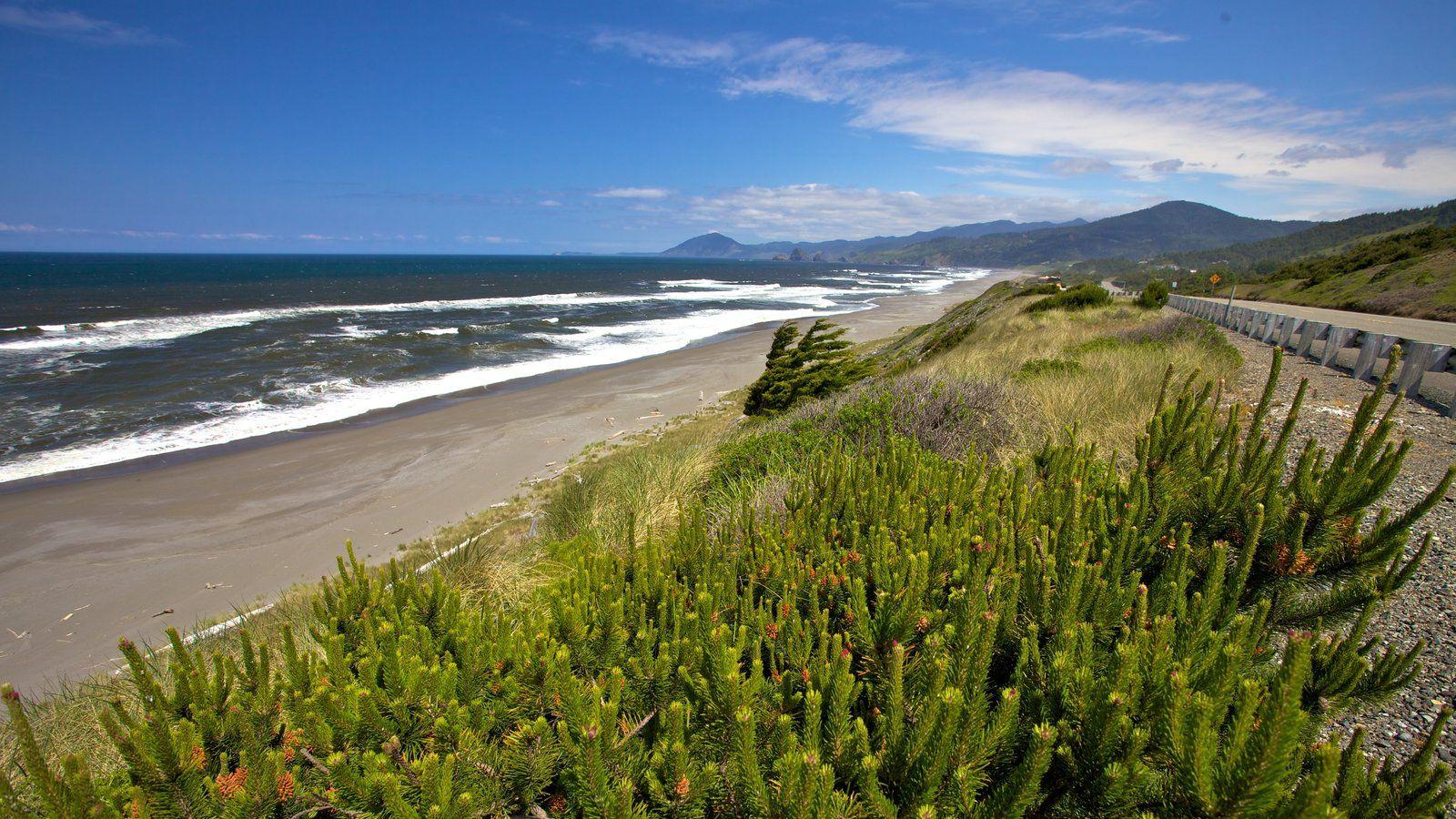Coastal Picture: View Image of Oregon Coast