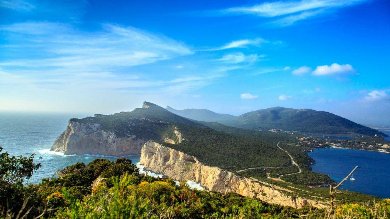 Forests: Mood Trees Path Nature Autumn Leaves Wallpaper Tropical