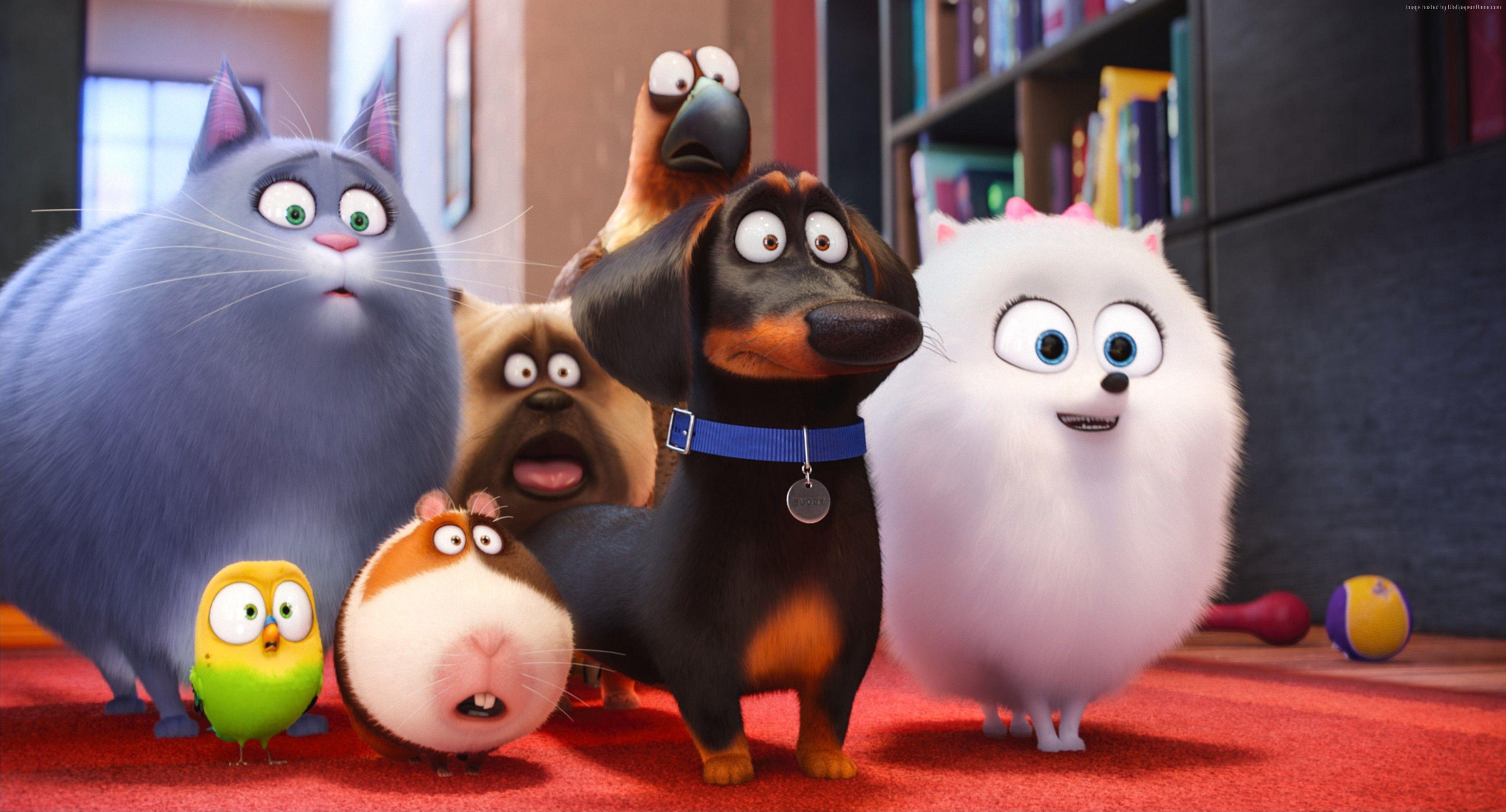 The Secret Life of Pets Wallpaper and Background Image