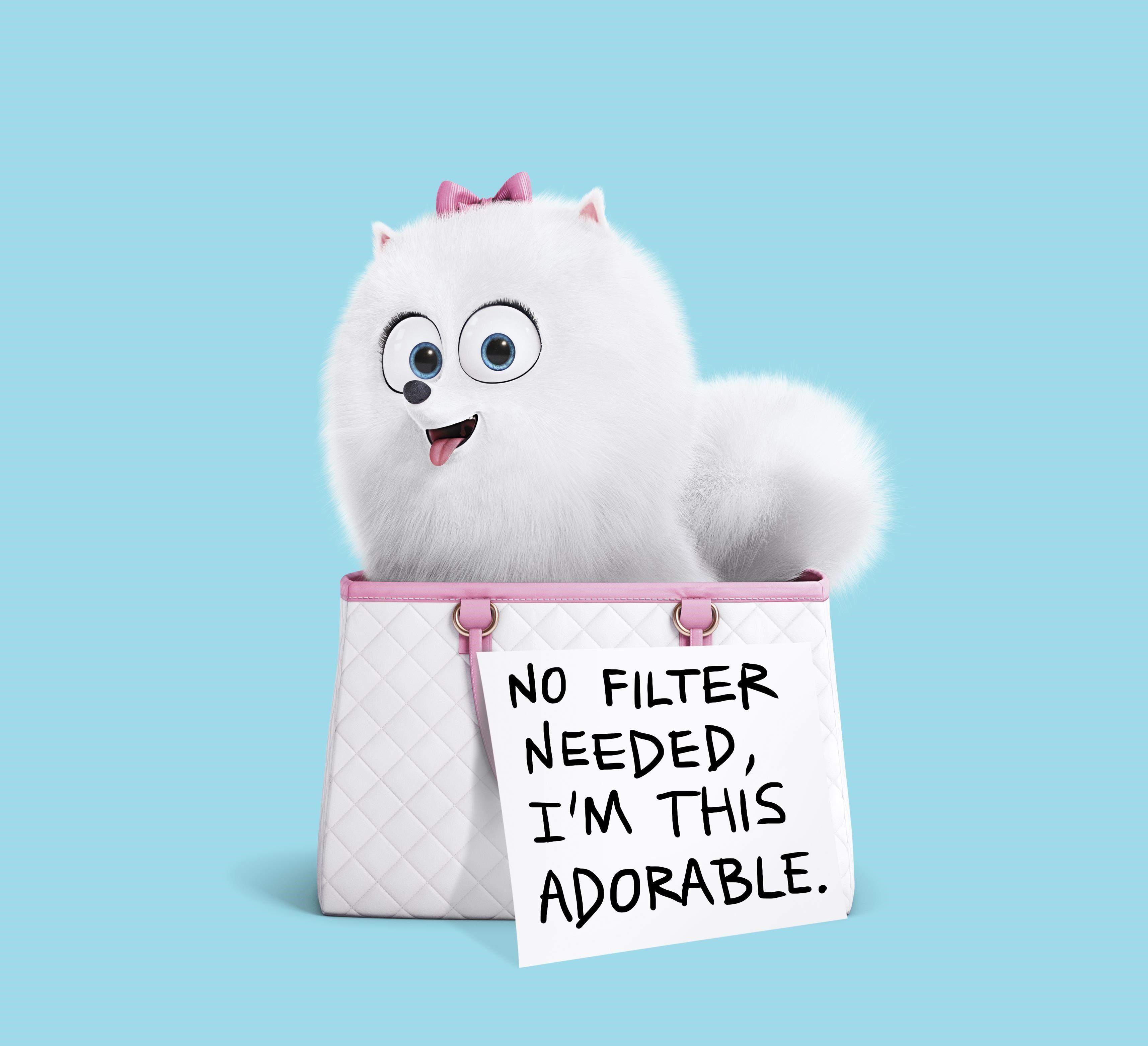 Gidget The Secret Life Of Pets, HD Movies, 4k Wallpaper, Image