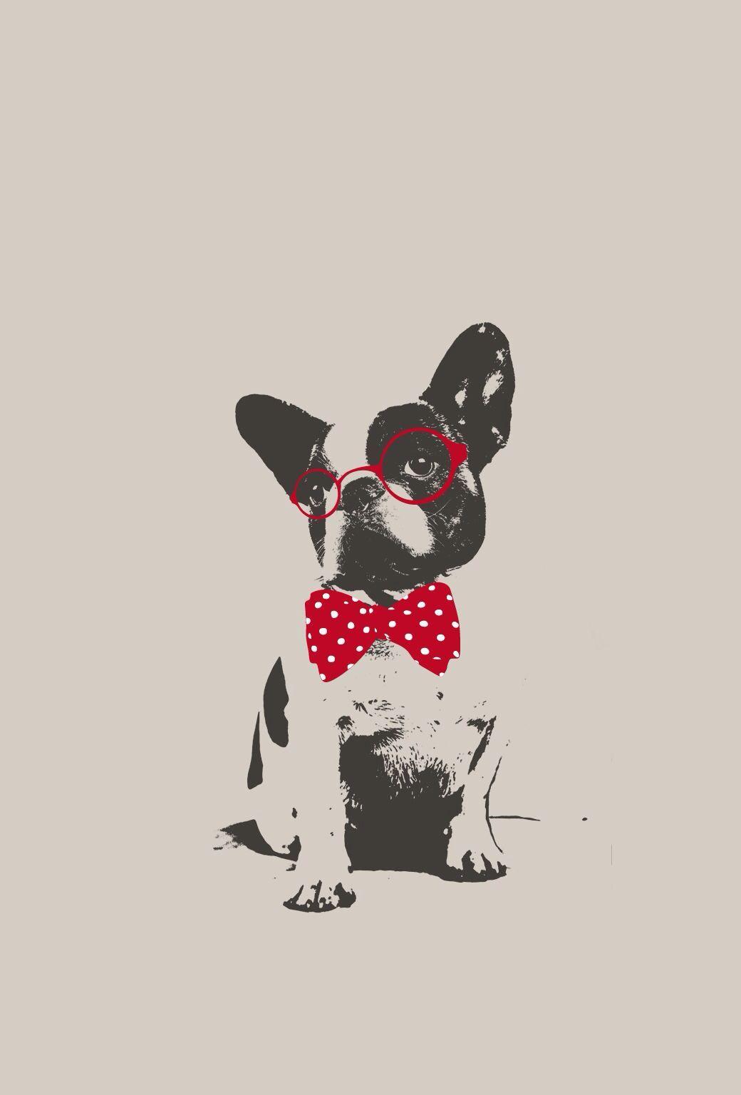cute nerdy french bulldog. animals. Dog wallpaper, Wallpaper