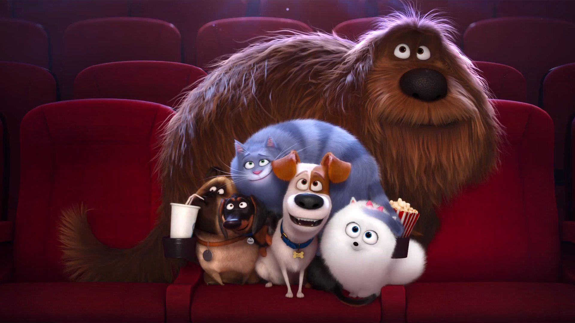 The Secret Life of Pets Wallpaper and Background Image