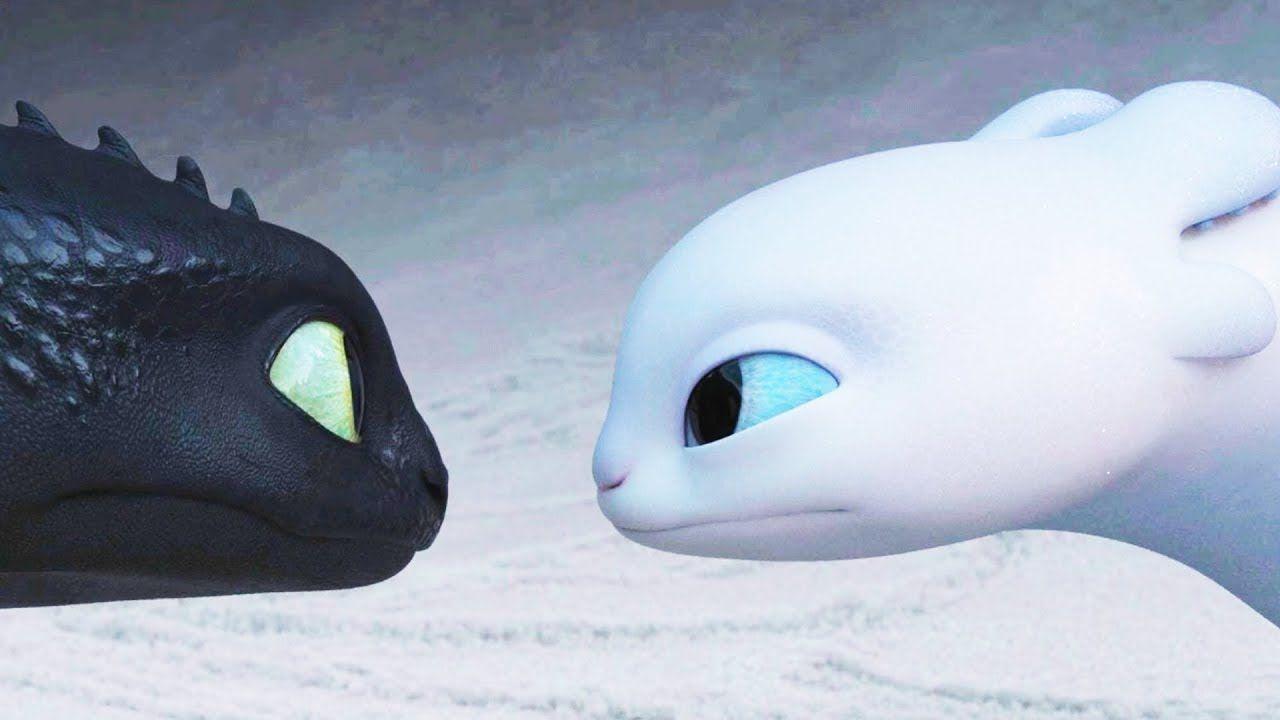 It's LIGHT FURY, Toothless Girlfriend. How to Train Your Dragon Hidden World