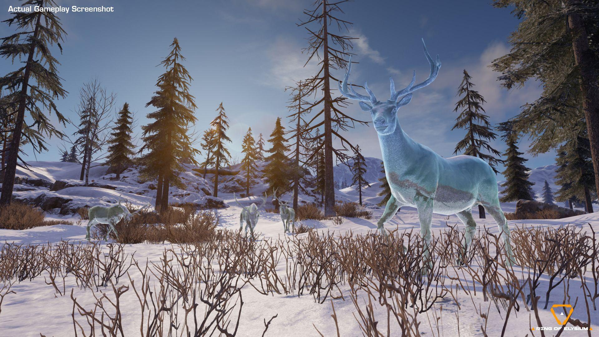 Ring of Elysium Reaches Steam, Gets Very Positive Reviews