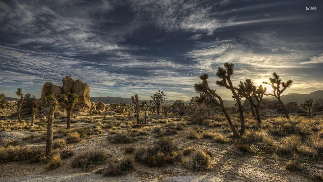 Joshua Tree National Park wallpaper. Joshua Tree National Park