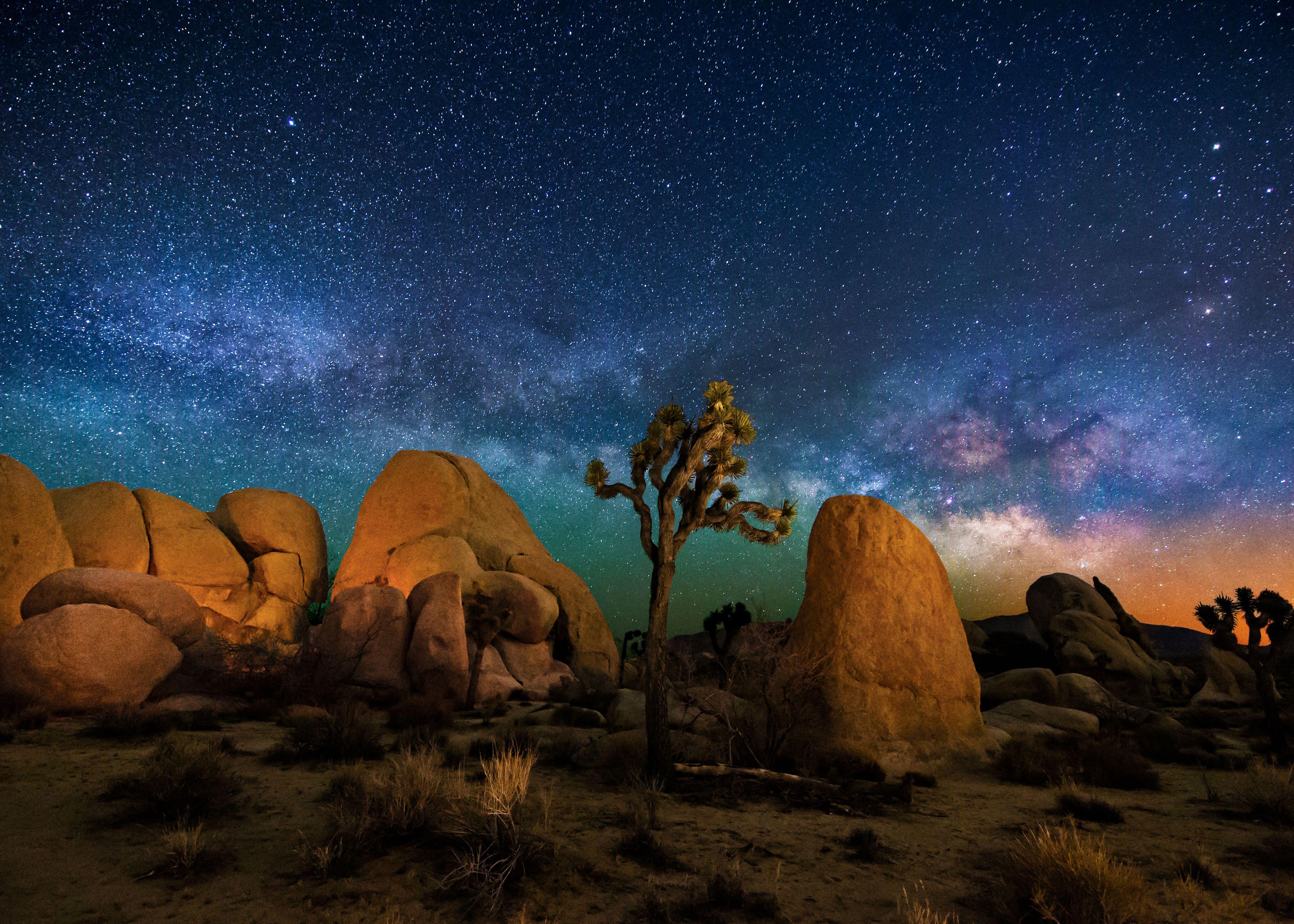 Joshua Tree National Park Wallpaper 11 X 3039