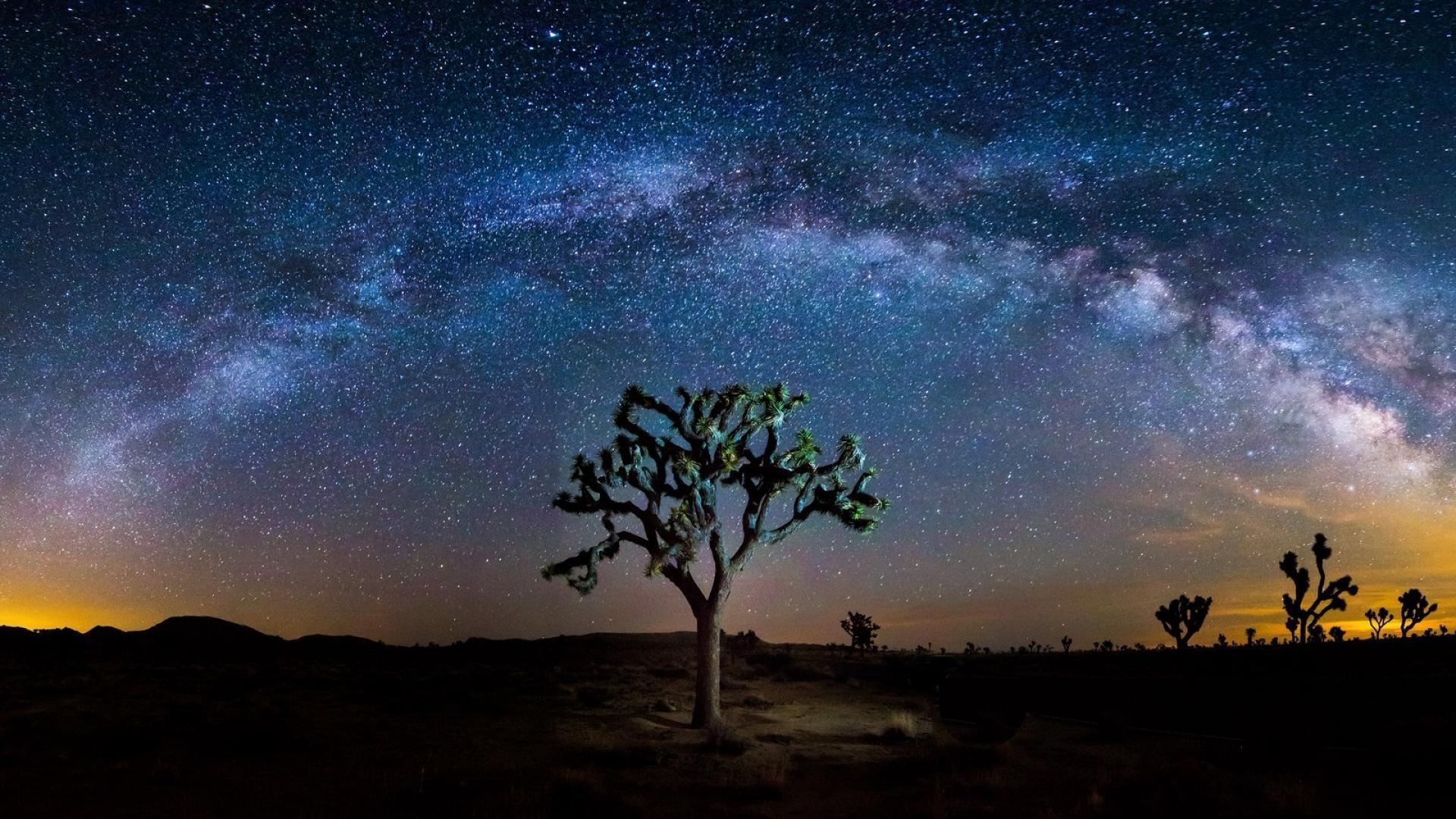 Joshua Tree Wallpapers - Wallpaper Cave