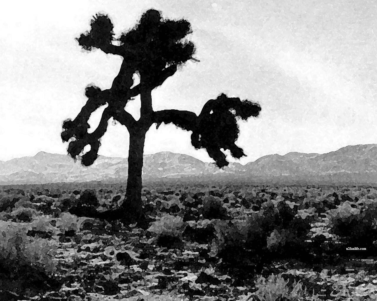 Joshua Tree Wallpapers - Wallpaper Cave