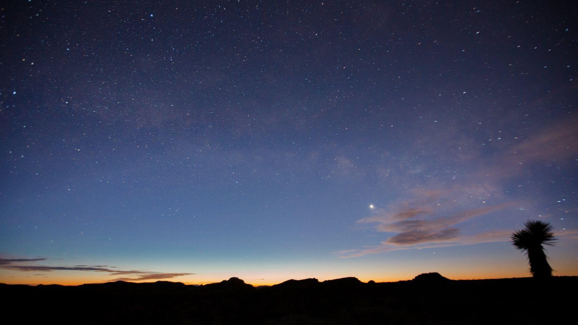 Venus and a Starry sunrise in Joshua Tree HD Wallpaper. Background