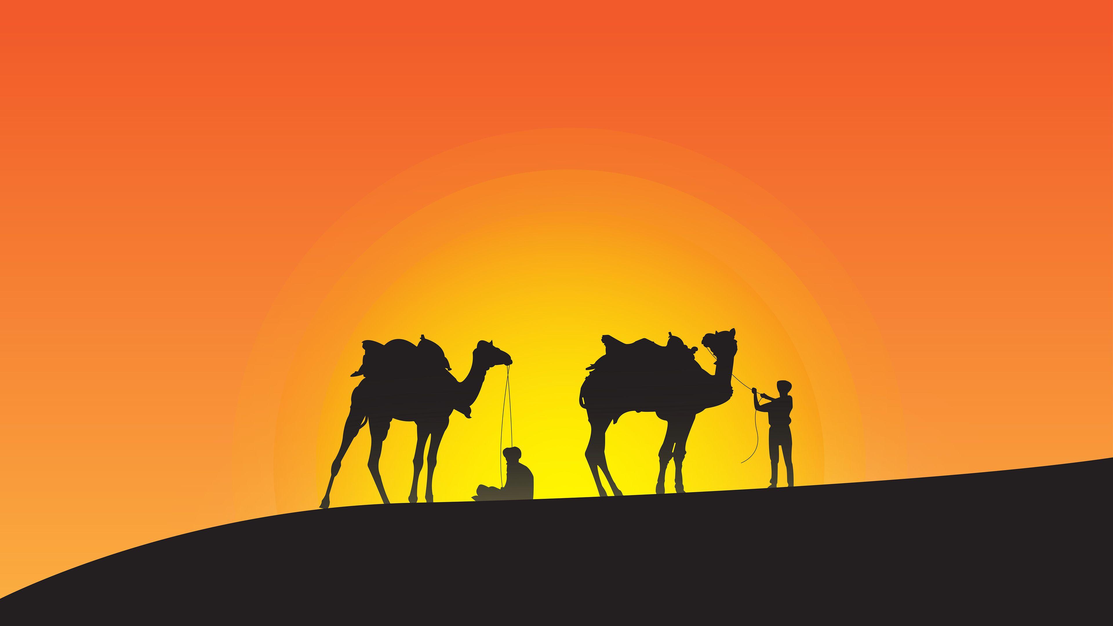 Camel Leaders Silhouette, HD Artist, 4k Wallpaper, Image