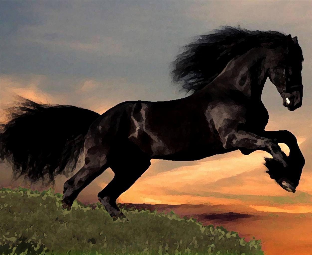 MAJESTIC FRIESIAN HORSE HIGH QUALITY PICTURE ON A