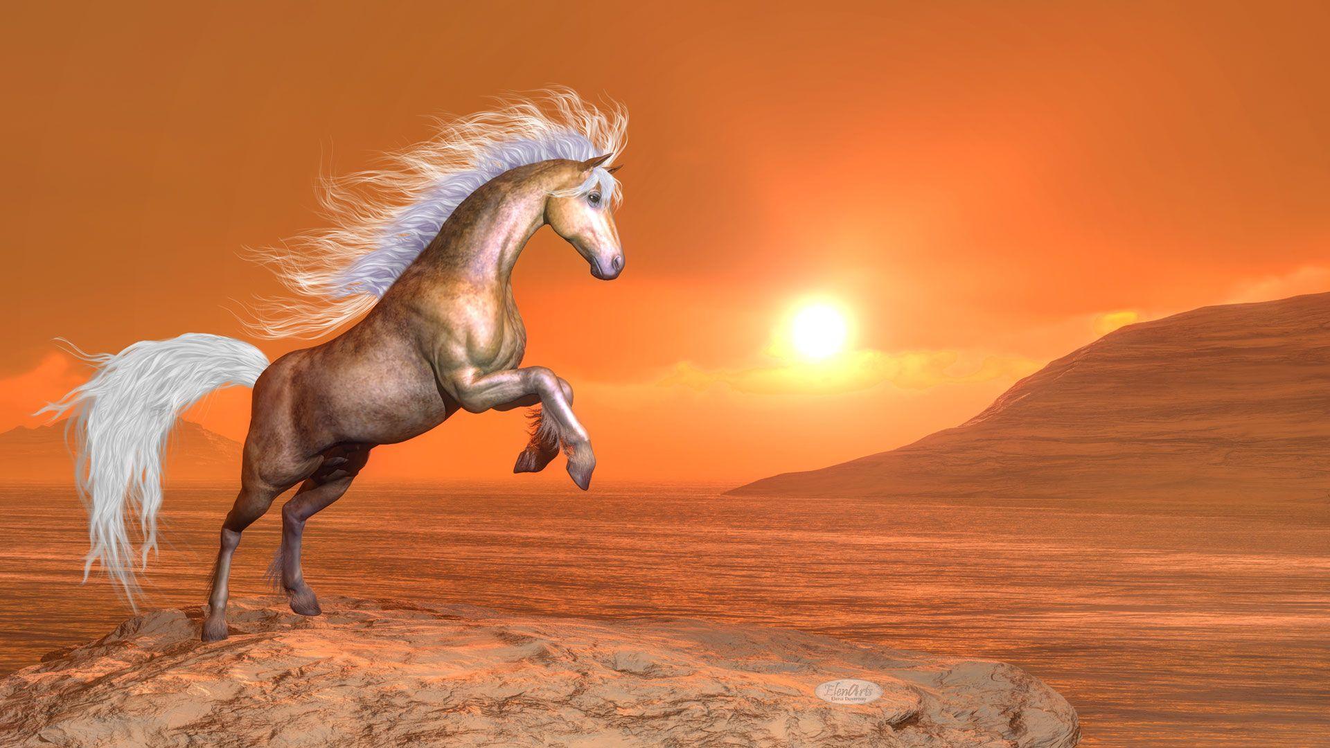 Clear brown horse rearing by orange sunset render
