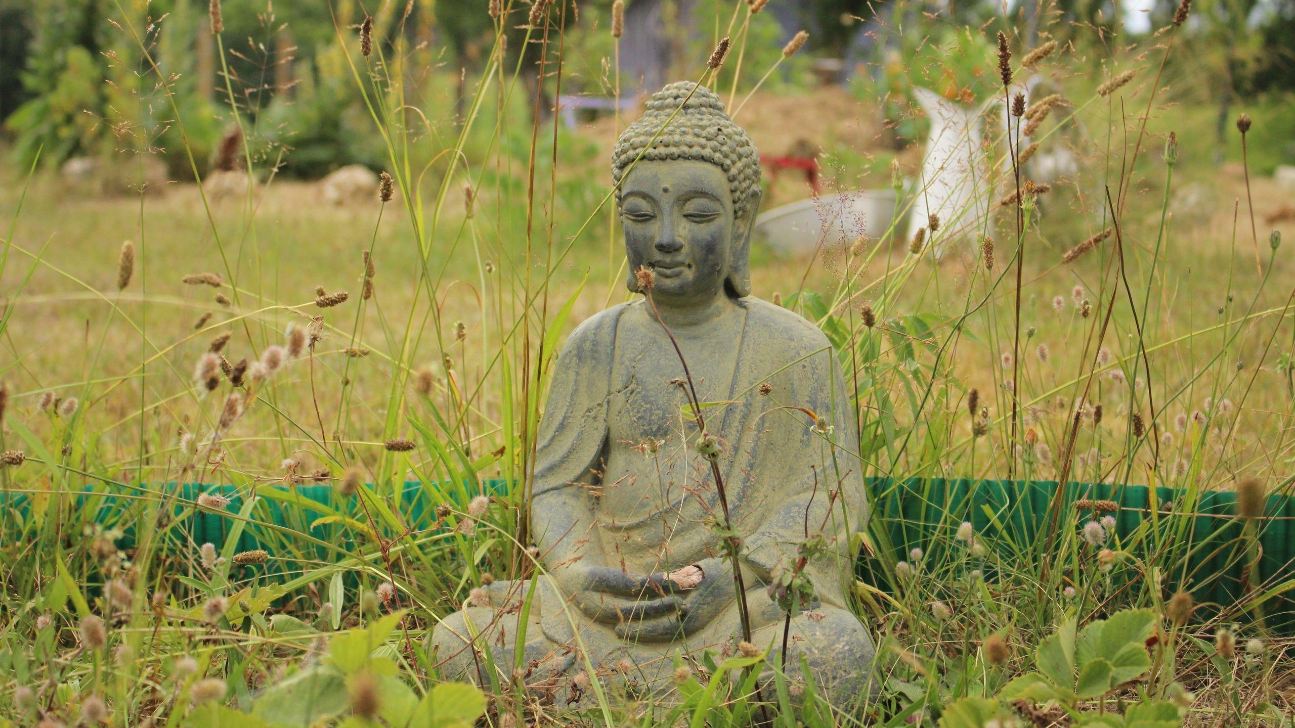 Download wallpaper 2560x1440 buddha, buddhism, meditation, grass