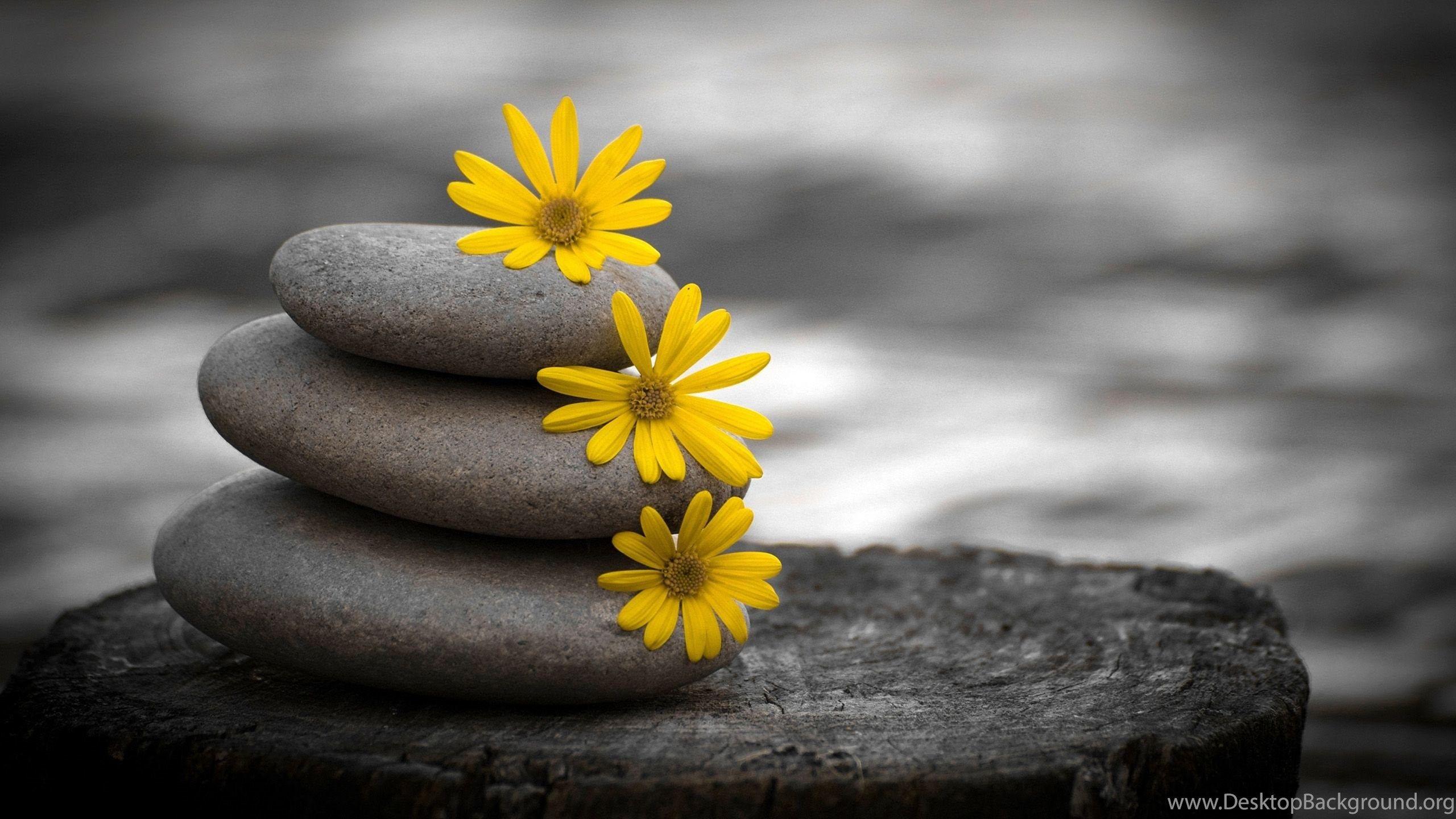 Zen Buddhism Wallpaper Full HD UH50 Desktop Background