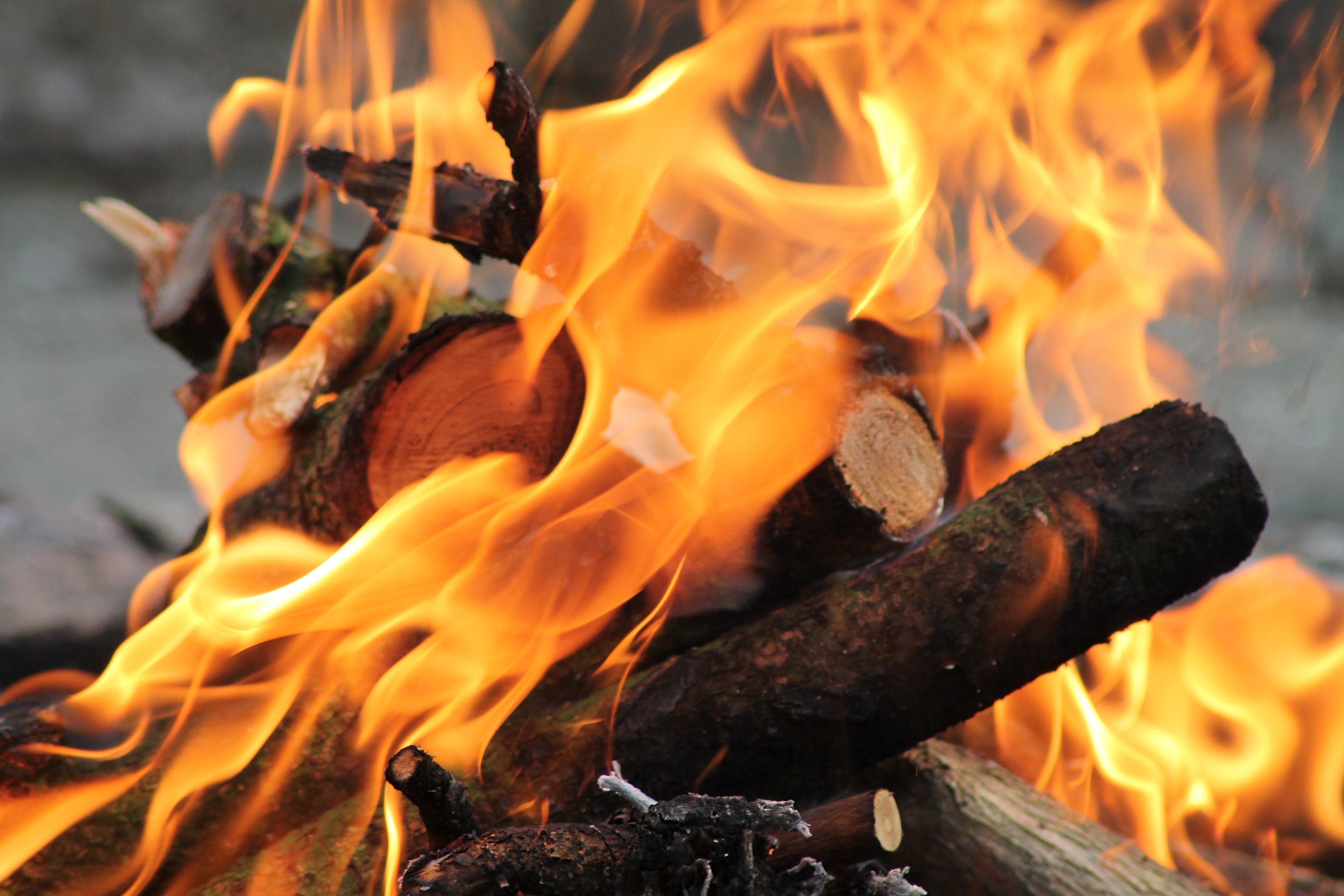 fire log and bonfire free image