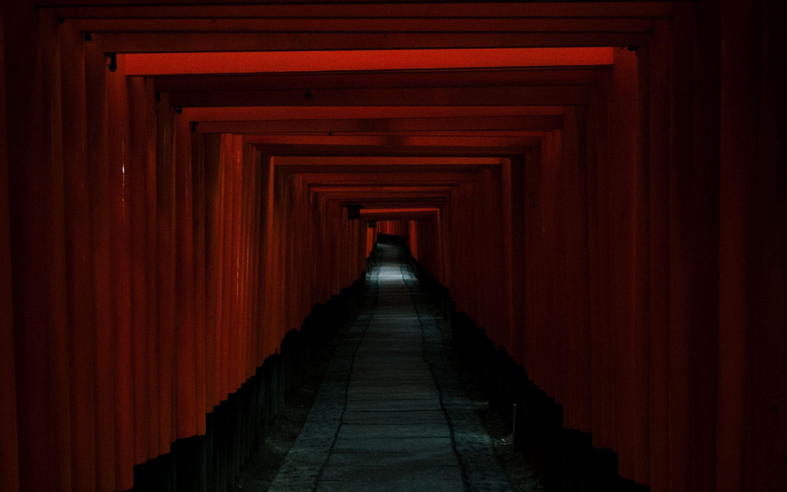 Download wallpaper 2560x1600 tunnel, passage, dark, red