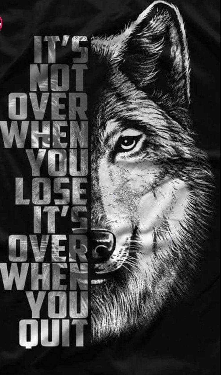 wolf. Inspirational Quotes, Quotes