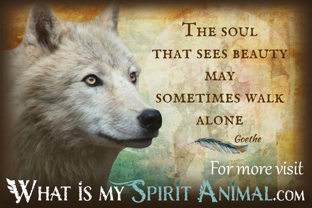 Quotes about Wolves (236 quotes)