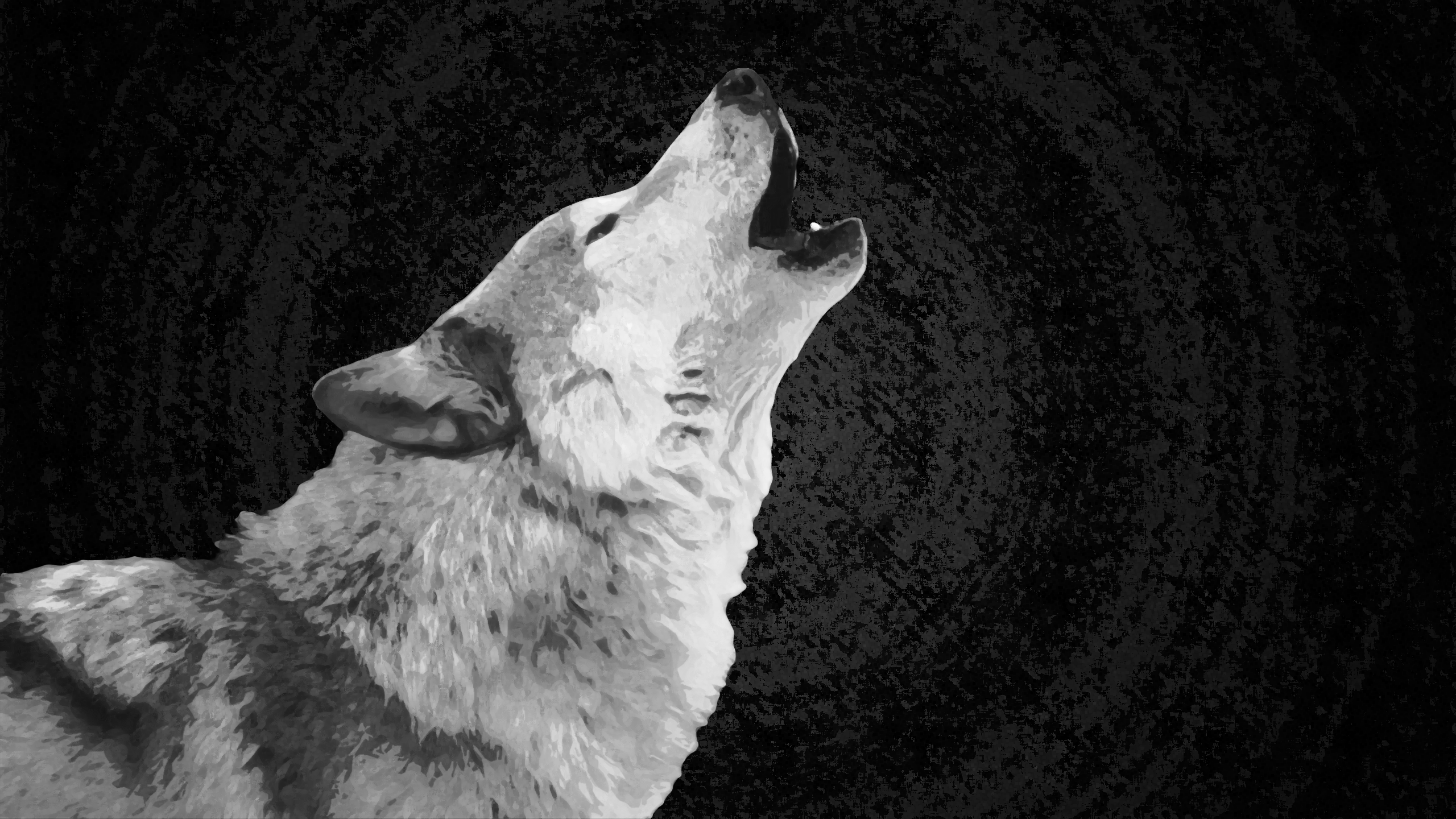 White Wolf Wallpaper HD Picture