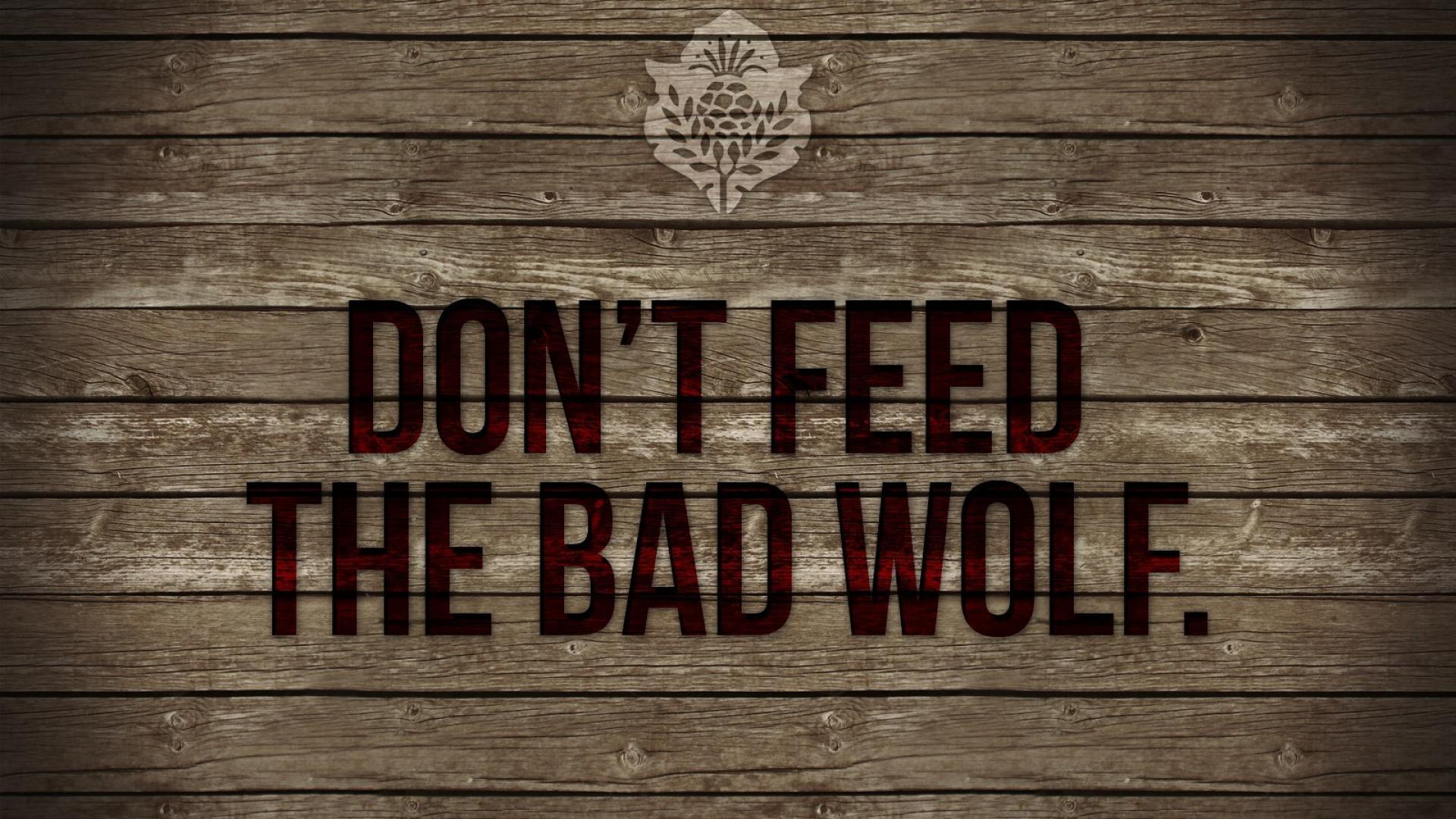 Wolf Wallpaper With Quotes The Galleries of HD Wallpaper