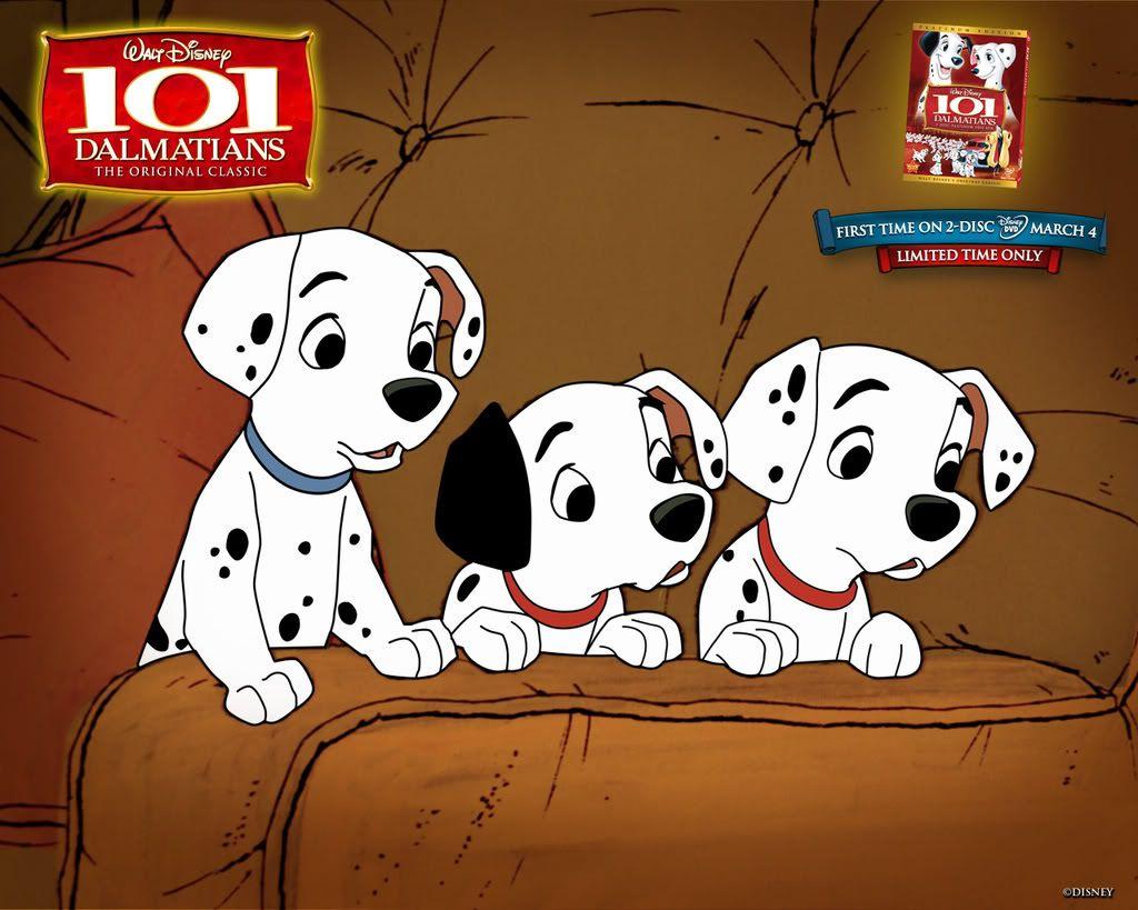 Dalmatians Wallpapers - Wallpaper Cave