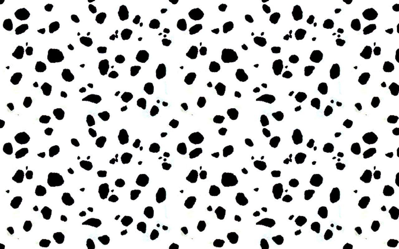 Dalmation Wallpaper