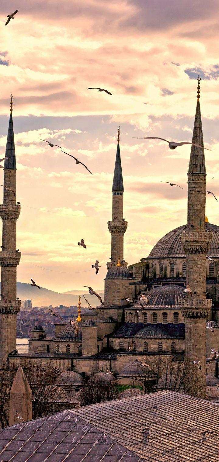 City Turkey Istanbul Wallpaper - [720x1520]