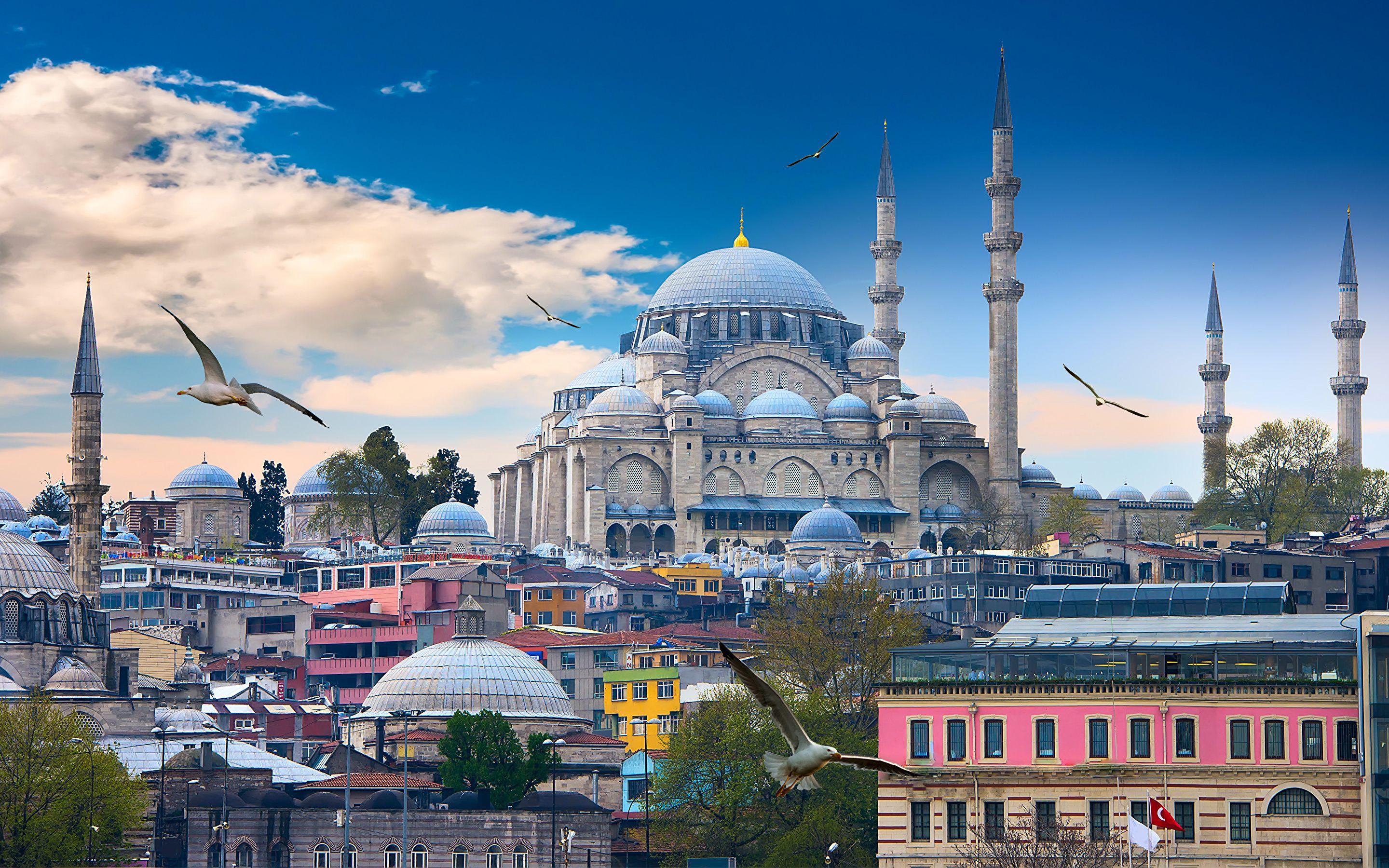 Wallpaper Istanbul Birds Mosque Turkey Temples Cities 2880x1800