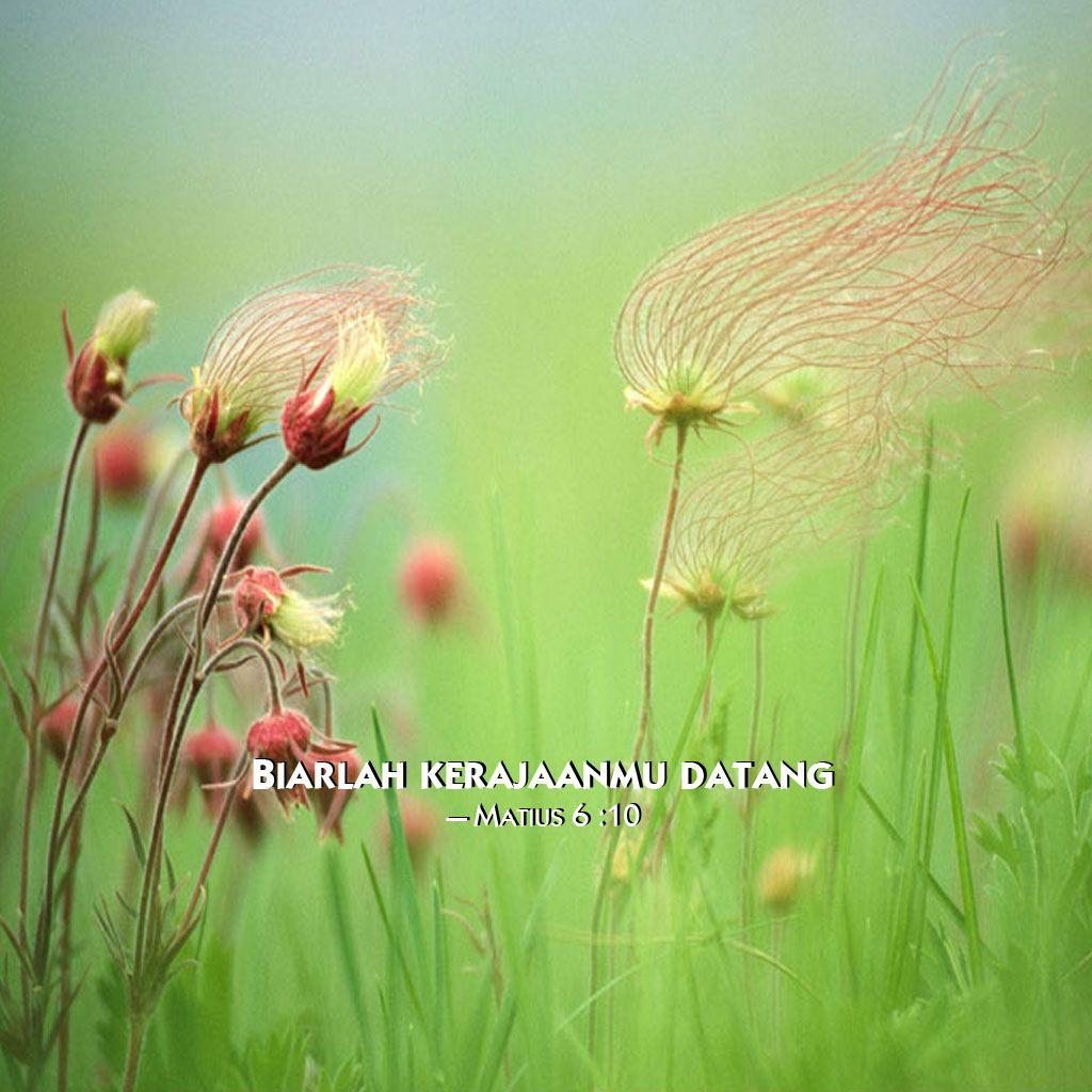 grassflowers, 2014 jehovah's witnesses yeartext for ipad
