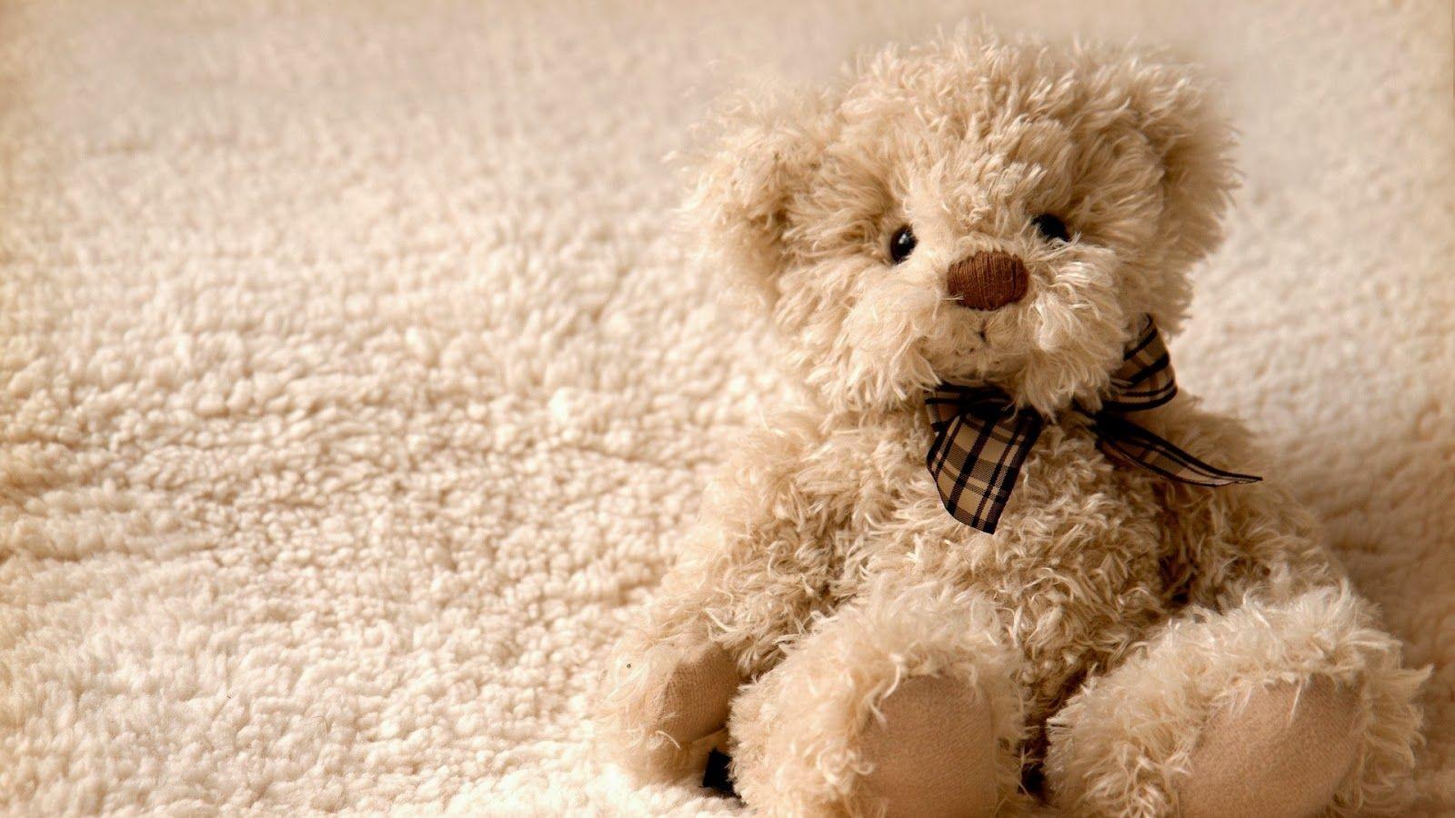 Cute Teddy Bear Picture