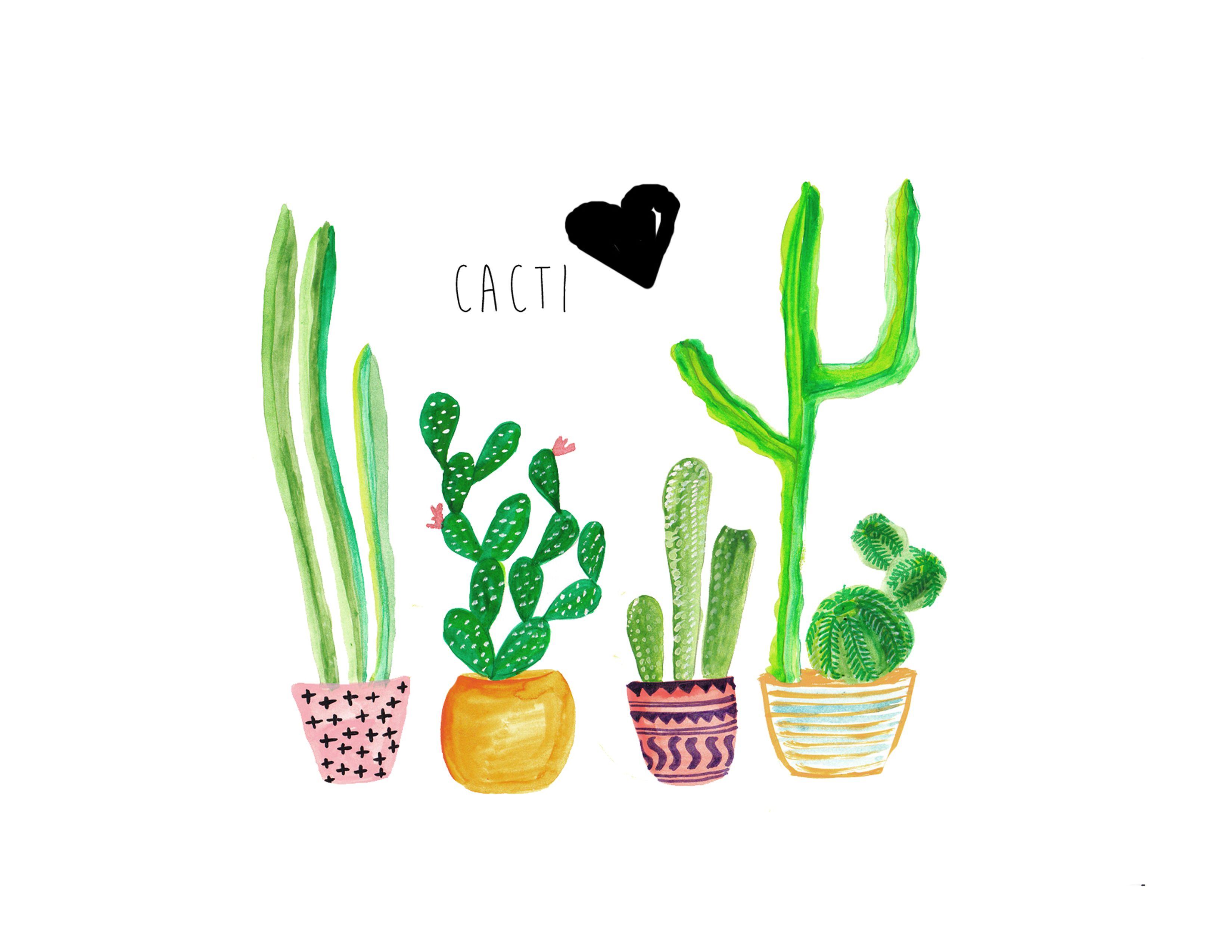 Current Trends Cacti