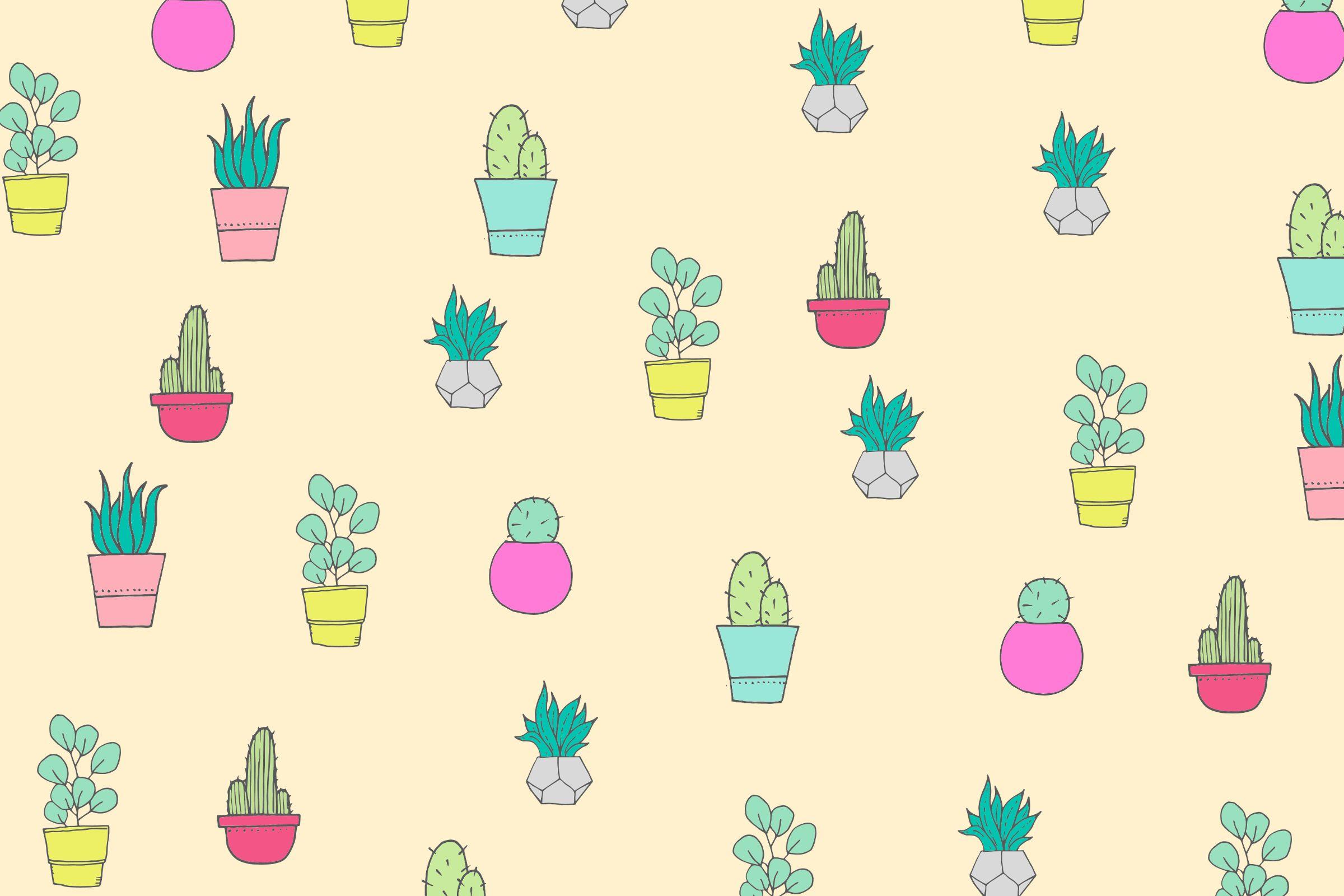 FREE CACTUS AND SUCCULENT WALLPAPERS FOR YOUR DESKTOP, TABLET AND PHONE