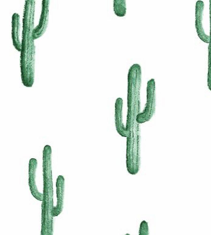 Small Desert Cactus wallpaper