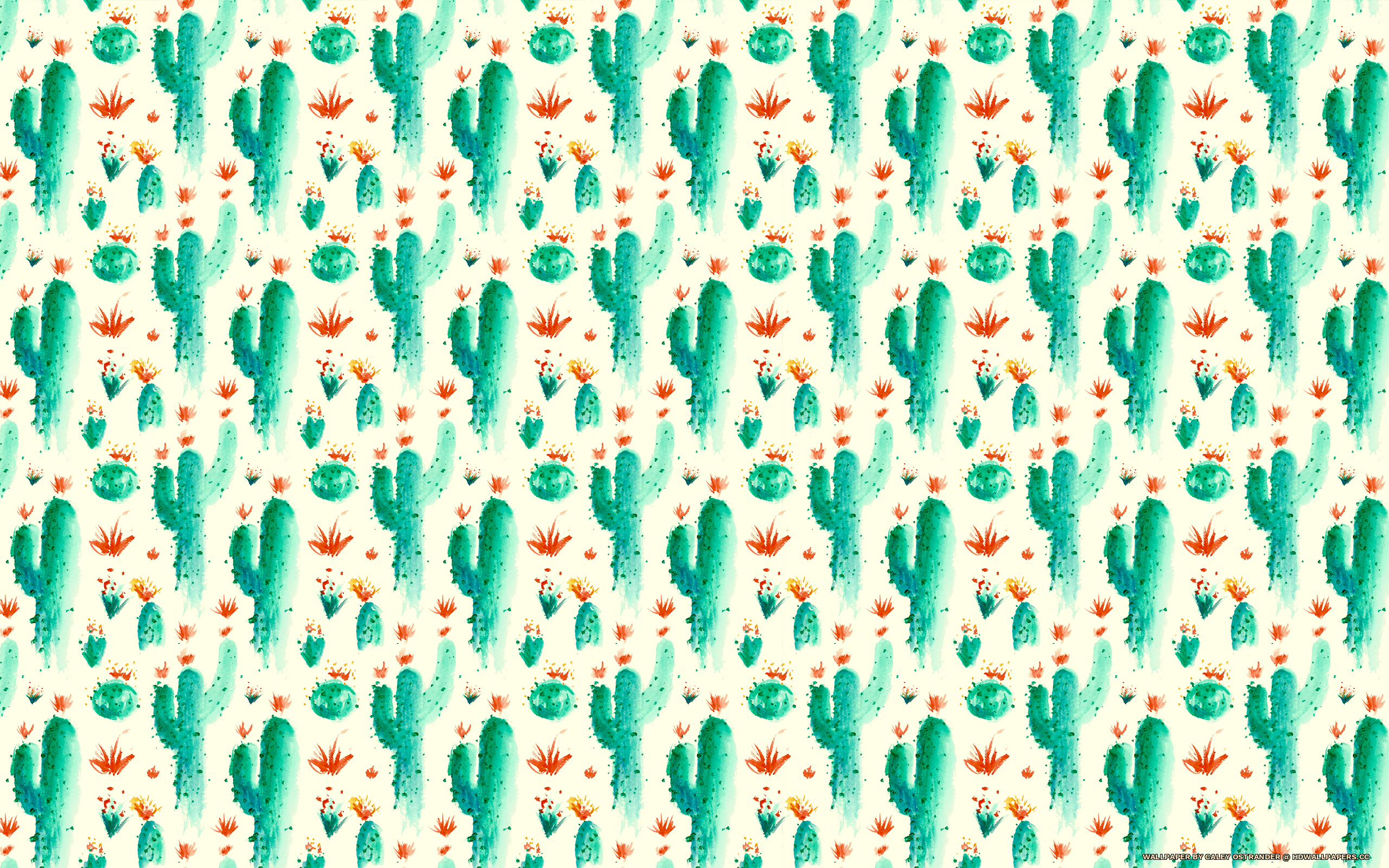 Cactus pattern
