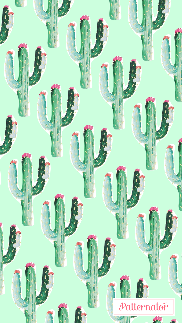 Wallpaper. Wallpaper, Cacti