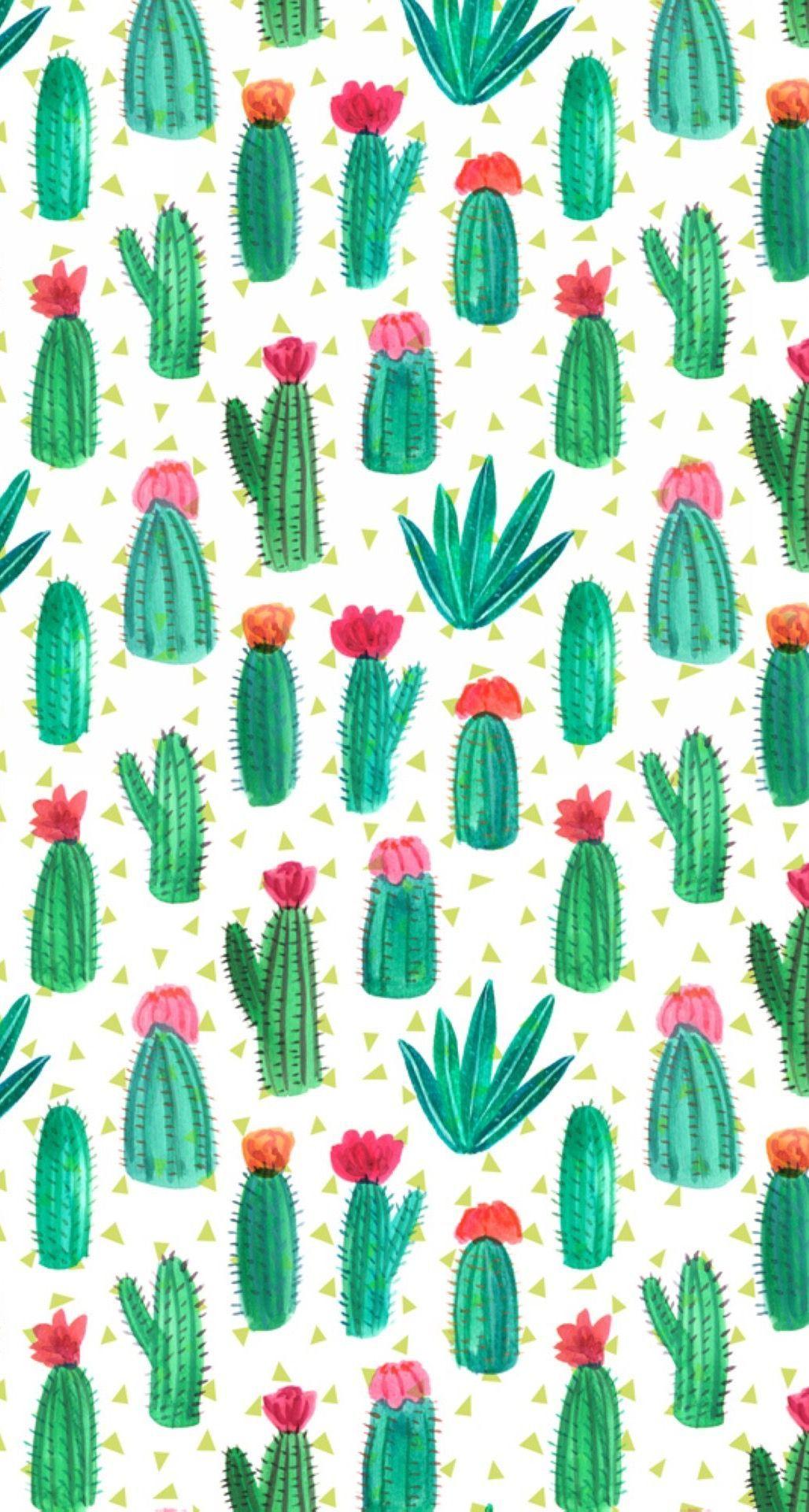 Summer cactus print. Pattern. Wallpaper, iPhone
