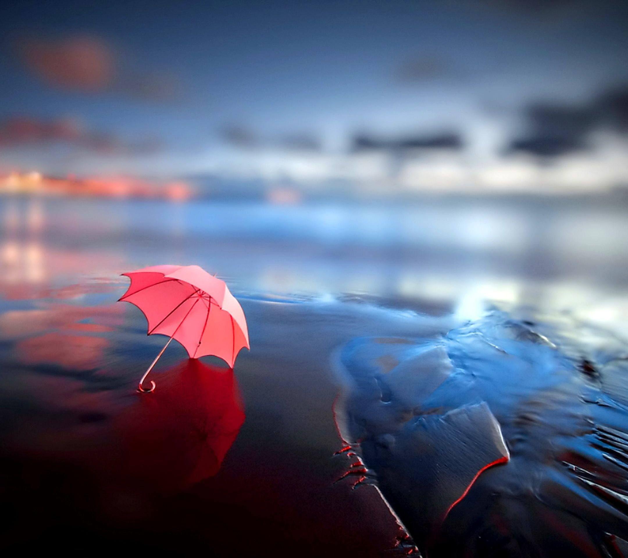 Umbrella Wallpaper Picture #gcr