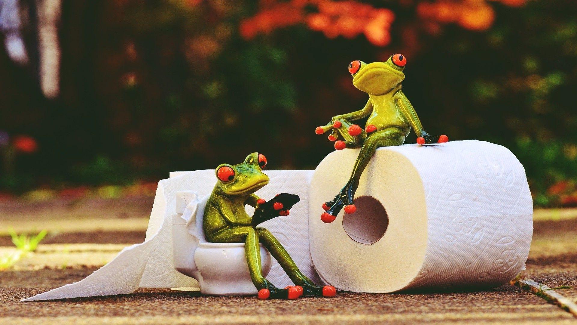 retro style frog toilet paper animals situation vintage wallpaper