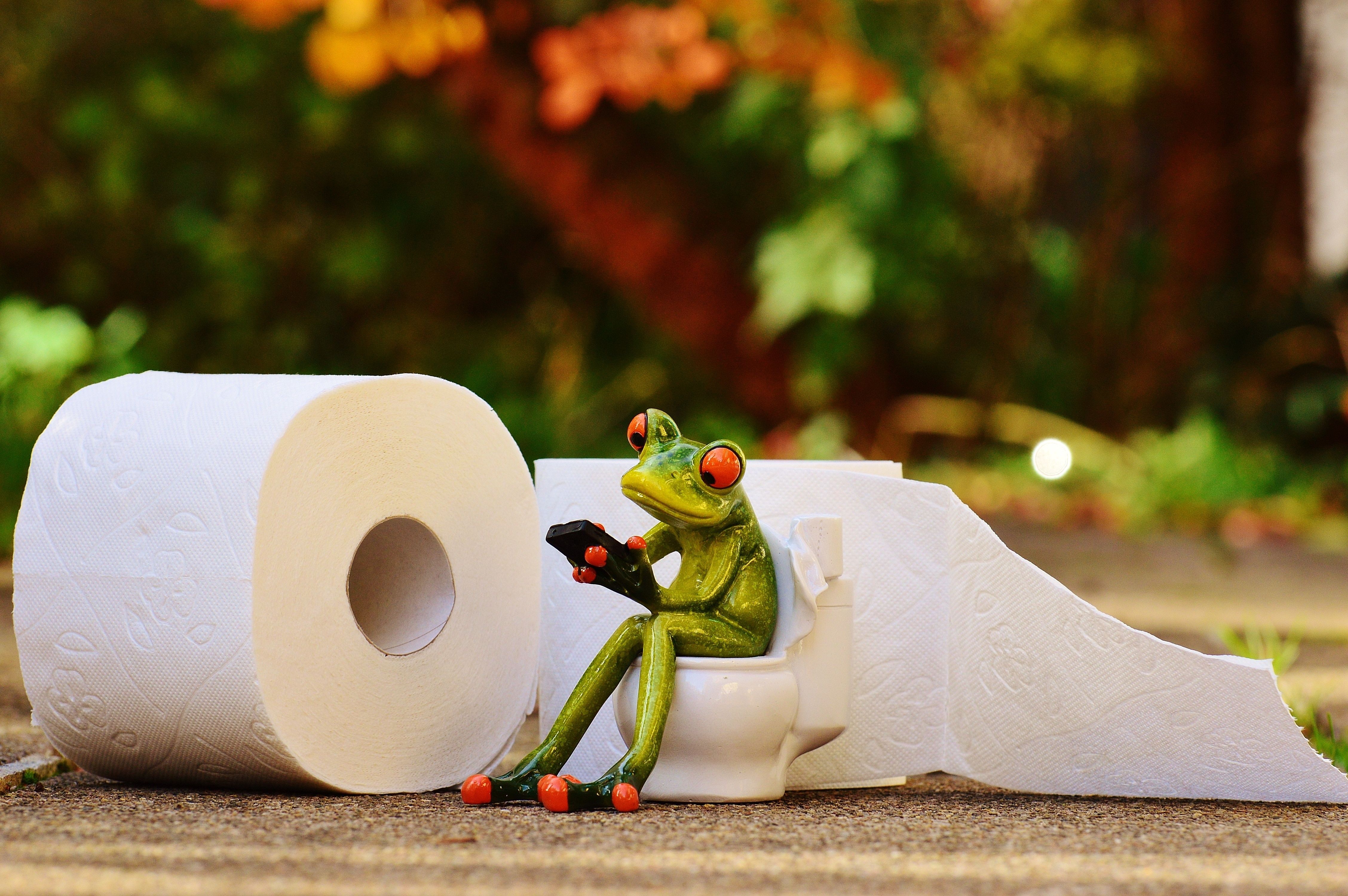 frog sitting on white toilet bowl beside white tissue paper free